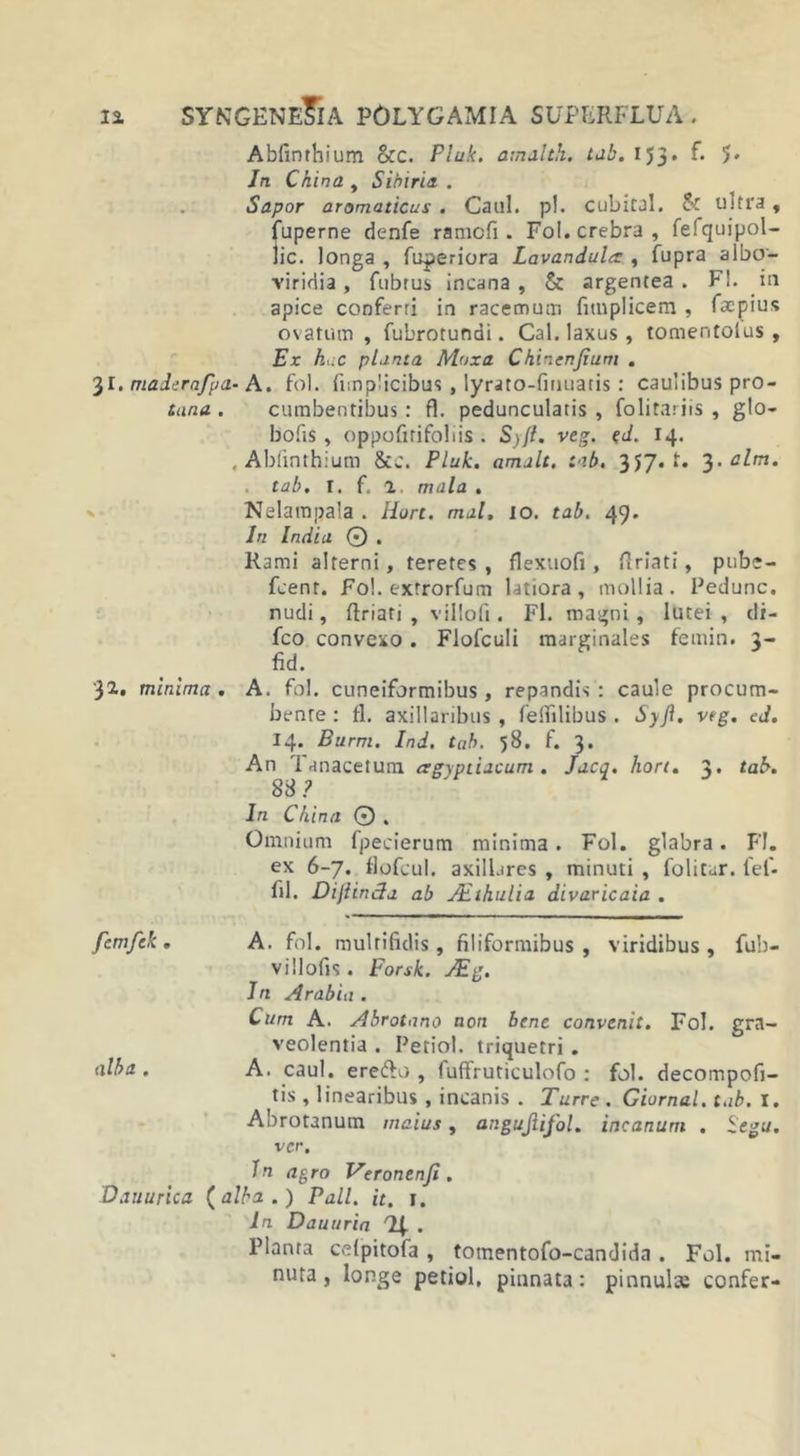 Abfinthium &amp;c. Pluk. amdlth. tab. 153. f. ')• In China , Sihiria . Sapor aromaticus. Caul. p!. cubital. &amp; ultra, fuperne denfe ramcfi. Fol. crebra, fefquipol- lic. longa , fuperiora Lavandulct , fupra albo- viridia, fubrus incana , &amp; argentea . F!. in apice conferri in racemuir. fitnplicera , facpius ovatum , fubrotundi. Cal. laxus , tomentolus , Ex huC planta Moxa Chinenfium . 31. maderafpa- A. fol. fimplicibus, lyrato-fmuatis: caulibus pro- tana . cumbentibus : fl. peduncularis , folitariis , glo- bofis, oppofitifoliis . Syft. veg. ed. 14. .Abfinthium &amp;c. Pluk. amalt. tab. 357. t. 3. clm. tab. I. f. 2 mala . Nelarapala . Hort. mal, 10. tab. 49. In India © . Rami alterni, teretes, flexuofi , ftriati, pube— fcent. Fol. extrorfum latiora, mollia. Pedunc. nudi, ftriati , villofi. Fl. magni , lutei , di- fco convexo. Flofculi marginales femin. 3- fid. ji. minima. A. fol. cuneiformibus, repandis: caule procum- bente: fl. axillaribus, fertilibus . Syft. veg. ed. 14. Burm. Ind. tab. 58. f. 3. An Tanacetum agyptiacum . Jacq. hort. 3. tab. 88? In China © . Omnium fpecierum minima. Fol. glabra. FI. ex 6-7. flofcul. axillares , minuti , folitar. fel- rtl. Dijhnda ab JEthulia divaricaia . femfek. A. fol. multifidis, filiformibus, viridibus, fub- villofis . Fonk. JEg. Iri Arabia . Cum A. Abrotono non bene convenit. Fol. gra- veolentia . Petiol. triquetri . alba. A. caul. ereifto , fufiruticulofo : fol. decompofi- tis , linearibus , incanis . Turre . Giornal. tab. I. Abrotanum maius, angujlifol. incanum . ±egu. ver. In agro Veronenfi. Dauurica {alba.) Pali. it. j. In Dauuria '2J- . Planta cefpitofa , totnentofo-candida . Fol. mi- nuta , longe petiol, pinnata: pinnula: confer-