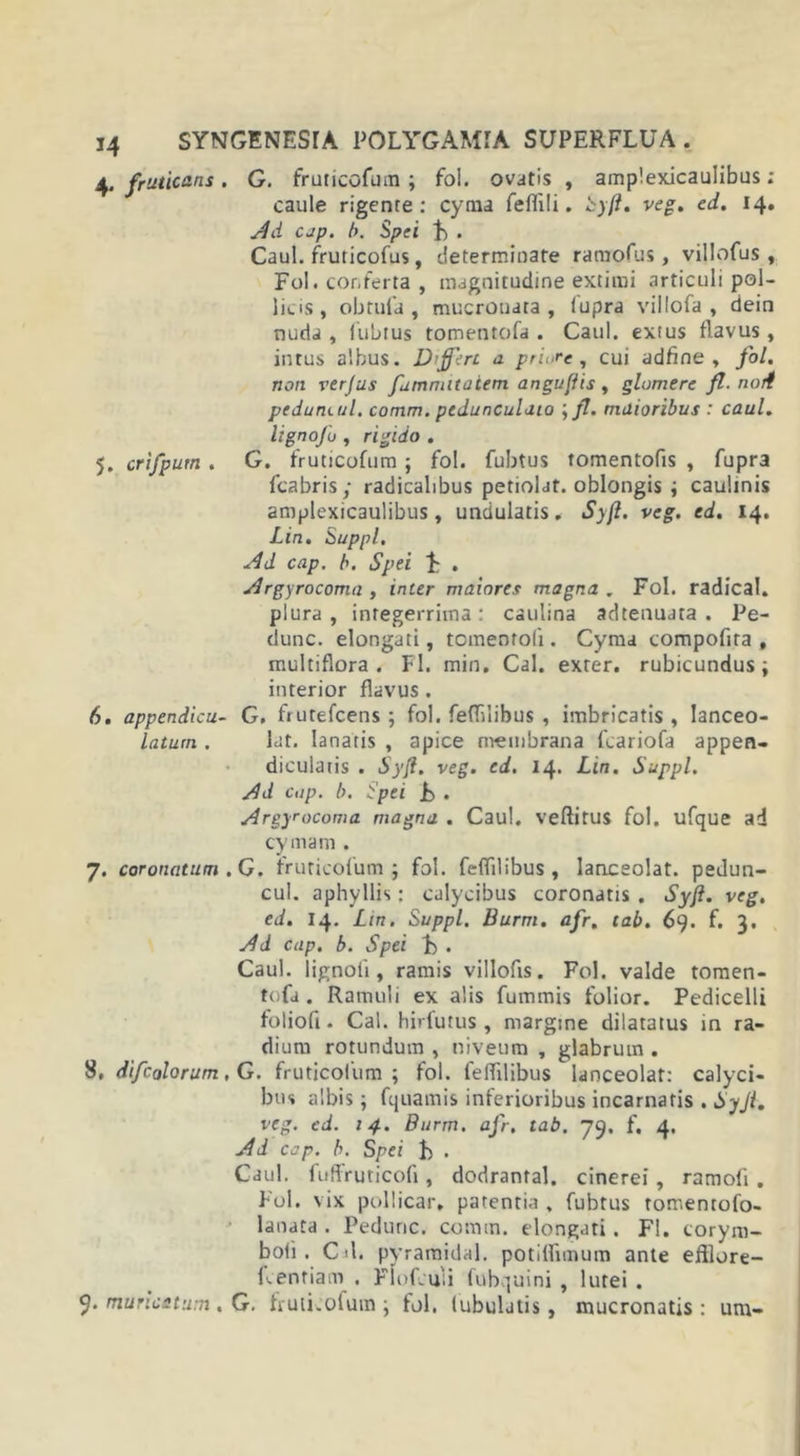 4. fruticans. G. fruticofum ; fol. ovatis , amplexjcaulibus ; caule rigente: cyma feflili. Syfl, veg. cd. 14. Ad cap. b. Spei . Caul. fruricofus, determinate ramofus , villofus, Fol. conferta , magnitudine extimi articuli pol- licis, obruta , mucronata, fupra villofa , dein nuda , fubtus tomentofa . Caul. extus flavus, intus albus. D'ff:rt a pri&lt;re , cui adfine , fol. non verjus fumnutaiem anguflis , glomere fl. nort pedum, ul. comm. pedunCulaio \fl. maioribus : caul. lignofu , rigido . 5. crifputn . G. fruticofum; fol. fubtus tomentofis , fupra fcabris; radicalibus petiolat. oblongis ; caulinis amplexicaulibus, undulatis. Syfl. veg. ed. 14. Lin. Suppi, Ad cap. b. Spei F . Argyrocoma , inter maiores magna w Fol. radical. plura, integerrima: caulina ad tenua ta . Pe- dunc. elongati, tomenroti. Cyma compofita , multiflora. FI. min. Cal. exter, rubicundus; interior flavus . 6. appendicu- G. frutefeens ; fol. fertilibus , imbricatis , Ianceo- laturn . lut. lanatis , apice membrana fcariofa appen- diculatis . Syfl. veg. ed. 14. Lin. Suppi. Ad cup. b. Spei j&gt; . Argyrocoma magna . Caul. veftirus fol. ufque ad cymam . 7. coronatum .G. truricotum ; fol. fertilibus, lanceolat. pedun- cul. aphyllis: calycibus coronatis . Syfl. veg. ed. 14. Lin. Suppi. Burm. afr. tab. 69. f. 3. Ad cap. b. Spei F . Caul. lignoii, ramis villofis. Fol. valde tomen- tofa . Ramuli ex alis fummis folior. Pedicelli folioft. Cal. hirfutus , margine dilatatus in ra- dium rotundum , niveum , glabrum . 8. difcolorum, G. fruticofum ; fol. fertilibus lanceolat: calyci- bus albis; fquamis inferioribus incarnatis . Syjl. veg. ed. 14. Burm. afr, tab. 79. f. 4. Ad cap. b. Spei F . Caul. fufiruticofi, dodrantal. cinerei, ramofi . Fol. vix pollicar, patentia , fubtus tomentofo- lanata . Peduric. comm. elongati. Fl. torym- boti. Cd. pyraraidal. potitfimum ante efllore- fcentiam . Flofcuii fubquini , lutei . 9. muricatum, G. fruticofum; fol. lubulatis, mucronatis: ura-