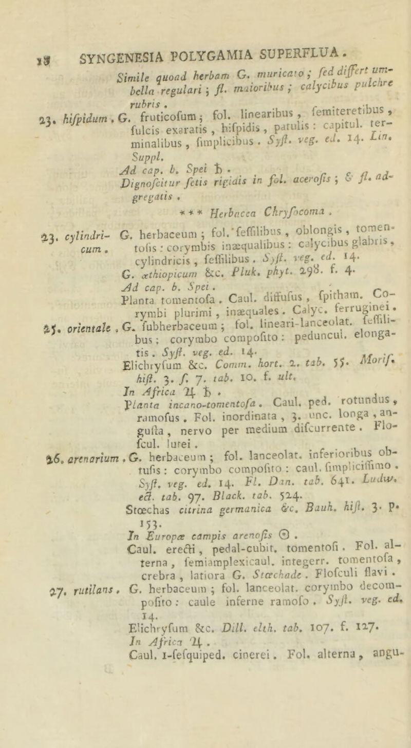 Simile quoad herbam G. muricato ; feddt{fert um- bella regulari; fl. maioribus ; calycibus pulchre M. hifpidum.G. turicofum* fol linearibus , remiteretibus , 3 fulcis exaratis, hifpidis, patulis: capitul. ter- minalibus, fimplicibus. Syft. veg. ed. 14. Lin&gt; Suppi. Ad cap. b. Spei L • . , - c „ » Dignojiitur fetis rigidis in fol. acerojis ; /'• fla* gregatis . * * * Herbacea ChnTocdma , 41. cylindri- G. herbaceum; fol.’fertilibus , oblongis, tomen- 3 3 tofis: corymbis inaequalibus : calycibus glabris, cum . 1^113 . CWi 1 * cylindricis , fertilibus . Syft. ycg.ed. I4‘ G. cethiopicum &amp;C. ftluk. phyt. I^o. f. 4* Ad cap. b. Spei . . Planta tomemofa . Caul. ditfulus , fpitham. rymbi plurimi, inaequales. Calyc. ferruginei. 2.J. orientale . G. fubherbaceum ; fol. linean-lanceolat. «i »- bus; corymbo compofito : peduncui. eu nga tis . Syft. veg. ed. 14. ,, . . Elichryfum &amp;c. Comm. hort. 1. tab. 55* hift. 3. f. 7. tab. IO. f. u/f. Jrc Africa 2f L • , planta incano-tomentofa . Caul. ped. rotun* -iS , ramofus . Fol. inordinata , 3. unc. longa , an- gulla , nervo per medium difcurrente . ru- fcul. lurei . . , 3.6. arenarium . G. herbaceum; fol. lanceolar. inferioribus o tuHs: corymbo compofito : caul. fimpiicitumo . Syft. reg. ed. 14. FI. Oin. tab. 641. Ludw. ecl. tab. 97. Black, tab. 524. Stoechas eurina germanica &amp;c. Bauh. hift. 31 P* In Europae campis arenojis 0 . Caul. erecii, pedal-cubir. tomentofi . Fol. al- terna , femiamplexicaul. integerr. tomentofa , crebra , latiora G. Stcechade . Flofculi flavi . 47, rutilans. G. herbaceum ; fol. lanceolat. corymbo decom- pofito: caule inferne ramofo . Syjl. veg. ed. 14- Elichryfum &amp;c. Dill. elth. tab. JOJ. f. 127* Jn Africa '2| . Caul. i-fefquiped. cinerei. Fol. alterna , angu-