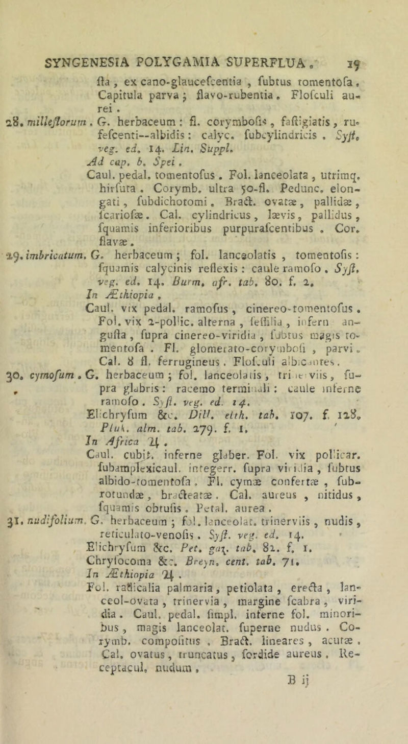 Ita , ex cano-glaucefcentia , fubtus tomentofa, Capitula parva ; flavo-rubentia. Flofculi au- rei . 28. milleflorum . G. herbaceum : fi. corymbofi*, faftigiatis , ru= fefcenti—albidis: calyc. fubcylindricis . Syfi, veg. ed. 14. Lin. Suppi. Ad cap. b. Spei . Caul. pedal. tomentofus . Fol. ianceolata , utrimq, hirfuta . Corymb. ultra 50-fl. Pedunc. elon- gati, fubdichotomi. Brad. ovatas, pallidas, 1'cariofae. Cal. cylindricus, laevis, pallidus, fquamis inferioribus purpuraicentibus . Cor. flavae. 29.imbricatum. G. herbaceum; fol. Ianceolatis , tomentofis: fquamis calycinis reflexis: caule ramofo . Syfi, veg. ed. 14. Burm, afr. tab, 80. f. 2, In ASihiopia , Caul. vix pedal. ramofus , cinereo-tomentofus. Fol. vix 2-pol'ic. alterna , lefhiia , inferti an~ gufla , fupra cinereo-viridia , fubtus magis ro- mentofa . FI. glomeiato-corymbofi , parvi. Cal. 8 fl. ferrugineus. Flof.uli aib.cmres. 30. cyrnofum.G. herbaceum; fol. lanceolaiis , tri viis, fu- , pra glabris : racemo terminali: caule inferne ramofo. Syfi. veg. ed. 14. Elichryfum &amp;c. DilL elth. tab. 107. f. 128. Pluk. alm. tab. 279. f. I, Jn Africa 24 . Caul. cubit. inferne glaber. Fol. vix pollicar. fubatnplexicaul. integerr. fupra vi. iJia , fubtus albido-romentofa . Fl. cymae confertae, fub- rotundae, bracteatae. Cal. aureus , nitidus , fquamis obrufis. Petal. aurea . nudifolium. G. herbaceum; fol. laneeolat. trinerviis, nudis, reticulato-venofis . Syfi. veg. ed. 14. Elichryfum &amp;c. Pet. ga\. tab. 81. f. I. Chryfocoma Breyn, cent. tab. 71, In JEthinpia • Fol. ratlicalia palmaria, petiolata , e re «fla , lan- ceol-ovata , trinervia , margine fcabra , viri- dia . Caul. pedal. fimpl. inferne fol. minori- bus , magis laneeolat. fuperne nudus . Co- rymb. compotitus . Bract. lineares , acutae . Cal, ovatus, truncatus, ferdide aureus. Re- ceptacul, nudum ,