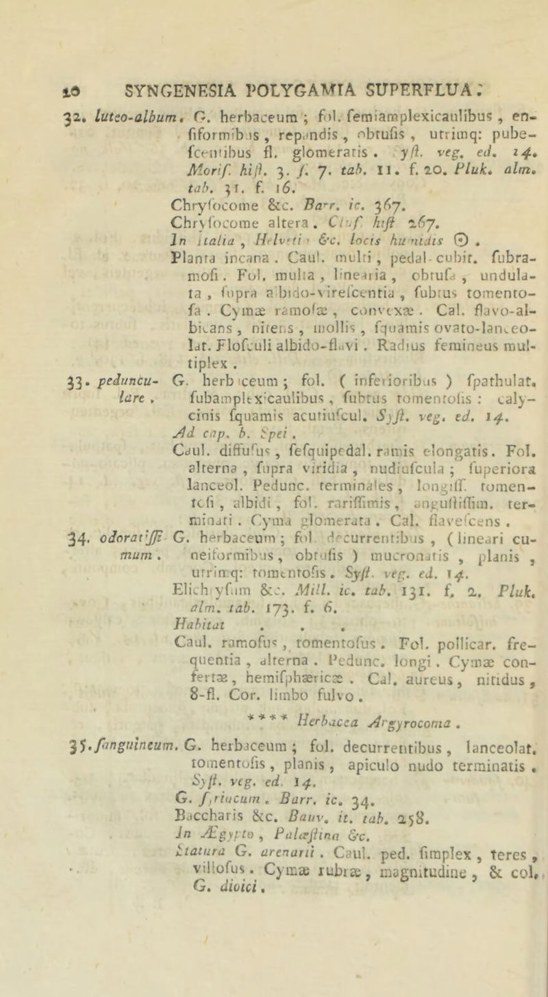 32. lutco-album. G. herbaceum; f&lt;&gt;l. femiamplexicaulibus, en- fiform;b is, rependis, obrufis , urriinq: pube- fceinibus fl. glomeraris. yft. veg. ed. 14. Morif. hijh 3. /. 7. tab. 11. f. 20. Pluk.. alm. tab. 31. f. 16. Chryfocome &amp;c. Barr. ic. 367. Chryfocome altera. Cl-.f hift 267. 1n ttalia , Helviti ■ &amp;c. locis hu nidis ® . Planta incana. Caul. multi, pedal-cubir. fubra- mofi. Fol. multa , linearia, obrufa , undula- ta, fupra a bido-virelcentia , fubrus tomento- fa . Cy mae ramofse , convexae . Cal. flavo-al- bitans, nitens, mollis, fquamis ovato-laiueo- lat. Flofculi albido-fLvi. Radius femineus mul- tiplex . 33. peduncu- G. herb iceum; fol. ( inferioribus ) fparhulat. lare . fubampltx:caulibus, fubtus tomenroiis : caly- cinis fquamis acutiufcul. SjJi. veg. ed. 14. Ad cap. b. bpei . Caul. diffurus, fefquipedal. ramis elongatis. Fol. alterna , fupra viridia , nudiufcula ; fuperiora lanceol. Pedunc. terminales, longiff. romen- tcfi , albidi, fol. rariflimis, anguliiffim. ter- minati . Cyma glomerata . Cal. flavefeens . 34. oioravjji G. herbaceum; fol decurrentibus , (lineari cu- mam. neiformibus, obrufis ) mucronatis , planis , urrin q: tomtnrofis. Sy/l. ver,, ed. 14. Elich yfum &amp;c. Mill. ic. tab. 131. f. a. Pluk, alm. tab. 173. f. 6. Habitat Caul. ramofus, romentofus. Fol. pollicar. fre- quentia , alterna . Pedunc. longi . Cymae con- fertas , hemifphaericae . Cal. aureus, nitidus , 8-fl. Cor. limbo fulvo . * * * * Herbacea Argyrocoma . 35•finguineum. G. herbaceum; fol. decurrentibus, lanceolat. tomentofis , planis, apiculo nudo terminatis . Syli. ve g. ed i 4. G. f,riijcum. Barr. ic. 34. Baccharis &amp;c. Bauv. it. tab. 2,58. Jn JEgypto , Palerftina &amp;c. t latura G. arenarii . Caul. ped. funplex , teres , villofus. Cyma rubia, magnitudine, &amp; coi. G. dioici,