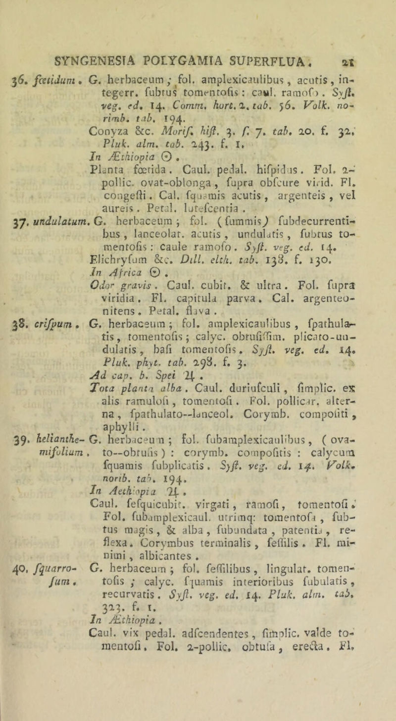 36. fcetidum. G. herbaceum ; fol. amplexicaulibus, acutis, in- tegerr. fubtus tomentofis: cani, ramof). Syjl. veg. ed. 14. Comtn, hurt.i.tab. 56. Volk. no~ rimb. tab. 194- Conyza &amp;c. Morif. hijl. 3. f. 7. tab. 10. f. 32, Pluk. alm. tab. 243. f. I, In sllthiopia 0 . Planta foetida. Caul. pedal. hifpidus. Fol. 2- poliic. ovat-oblonga , fupra obfcure vi. id. FI. congefli. Cal. fquamis acutis, argenteis , vel aureis. Petcl. 1 ut-afoentia . 37. undulatum. G. herbaceum ; fol. (fummis) fubdecurrenti- bus , lanceolar. acutis , undulatis, fubtus to- mentofis: caule ramofo. Syjl. veg. ed. 14. F.lichryfum &amp;c. Dill. elch. tab. 138. f. 130. In Africa © . Odor gravis. Caul. cubif. &amp; ultra. Fol. fupra viridia. FI. capitula parva. Cal. argenteo- nitens. Petal. flava. 38. crifpum. G. herbaceum; fol. amplexicaulibus , fpathula- tis, tomentofis; calyc. obrufiflim. plicato-un- dulatis, bafi tomentofis. Syjl. veg. ed. 14. Pluk. phyt. tab. 29B. f. 3. Ad cap. b. Spei !{. . Tota planta alba . Caul. duriufculi, fimptic. ex alis ramulofi, tomentofi . Fol. pollicur. alter- na , fpathulato—Lnceol. Cotymb. compotiti, aphylli . 39. helianthe- G. herbaceum; fol. fubamplexicanlibus, ( ova- mifulium . to—obrutis) : corymb. compofitis : calycum fquarais fubplicutis. Syjl. veg. ed. 14. JAolk, nonb. ta'~&gt;. 194* In Aeth 'pia Caul. fefquicubit. virgati, ramofi, tomentofi * Fol. fubatnplexicaul. utrimq: tomentofi , fub- tus magis , &amp;. alba , fubundata , patentia , re- flexa . Corymbus terminalis, fellilis . FI. mi- nimi , albicantes . 40. fquarro- G. herbaceum ; fol. feffilibus , lingulat. tomen- fum. tofis ; calyc. fquamis interioribus fubulatis , recurvatis. Syjl. veg. ed. 14. Pluk. alni, tab, 323. f♦ 1. In /Ethiopia . Caul. vix pedal. adfcendentes, firtiplic. valde to- mentofi . Fol. 2-pollic, obtufa, erecfa. FI,