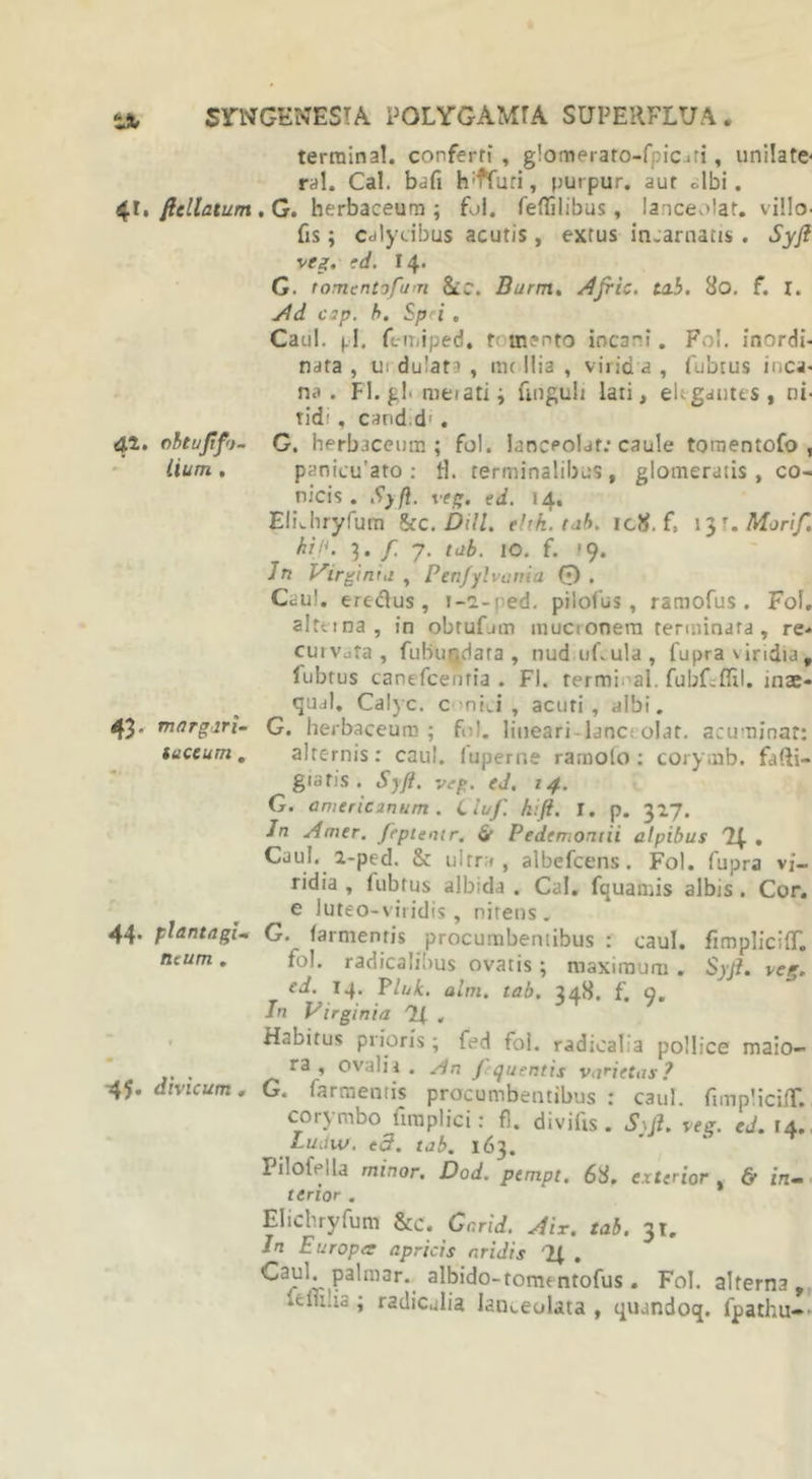 41. ftellatum 42. obtujifo- lium . 43- margiri- iuceum . 44. plantagi- ne um . 45* divicum , terrainal. conferti, glomerato-fpic-iti, unilate- ral. Cal. bafi h;ffuri, purpur. aut dbi. , G. herbaceum ; fol. feffilibus, lanceolat. villo- fis; calycibus acutis, extus incarnatis . Syfl veg. fd. 14. G. f omento fu n SlC. Burm. Ajric. tab. 80. f. I. Ad cap. b. Sp i . Caul. (.1. femiped. f mento incani. Fol. inordi- nata , ui dulan , itu ilia , virid a , fubtus inca- na . FI. gl&lt; meiati; fmguli lati, eUgautts, ni- tid' , cand.d: . G. herbaceum; fol. lanceolat: caule toraentofo , panicuato : U. terminalibus, glomeratis, co- nicis. Syfl. veg. ed. 14. EliLhryfum &amp;c. Dill. elvft. tab. ic.8. f: 1 hi!'. 3. / 7. tab. 10. f. '9. In Virgintj , Penfylvuma 0 . Caul. ereclus, 1-2-ped. piiolus , ramofus . Fol. alterna, in obtufjm mucionem terminata , re* curvata , fubu^data , nud ufcula , fupra v iridia , fubtus canefcenria . FI. termi al. fubLflil. mae- qual. Calyc. conici, acuti, albi. G. herbaceum; fui. lineari-lanci olar. acuminat: alternis: caul. fuperne rarnolo : corymb. fadi- giatis . Syfl. veg. (d. 14. G. americanum . Liuf. kift. I. p. 317. Jn Amer, fcpientr. &amp; Pedemomii alpibus , Caul. 2-ped. &amp; ultra, albefeens . Fol. fupra vi- ridia , fubtus albida . Cal. fquamis albis . Cor. e luteo-viridis, nitens. G. farntentis procumbentibus : caul. fimpliciff. fol. radicalibus ovatis ; maximum . Syjl. veg. ed. 14. Pluk. alni, tab. 348. f. 9. In Virginia 'Tf , Habitus prioris; fed fol. radicalia pollice maio- ra , ovali i. An f quentis varietas? G. farmentis procumbentibus : caul. fimplicill*. corymbo fimplici: fl. divifis. Sui. veg. ed. 14. Luiiw. t3. tab. 163. Pilofeila minor. Dod. pempt. 68. exterior , &amp; in- terior . Elichryfum &amp;c. Gcrid. Air. tab. 31. In Europa apricis aridis 2f . Caul. palmar. albido-tomentofus. Fol. alterna, Iclii.is; radicalia lan^eolata , quandoq. fpathu-