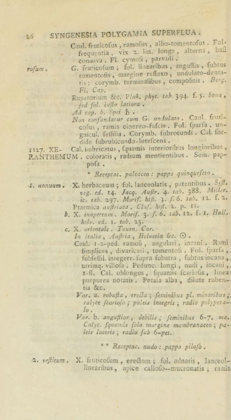Caul. fruticofus, ramafus, albo-tomentofus. Fol; frequentia, vix a. lin. longa, alterna, bau conaava . Fl. cymofi , parvuli . rufum. G. fruricofum ; fol. linearibus, anguRis , fusius tomentofis, margine reflexo, undulato-denta- tis: corymb. terminalibus, compolitis . fcitg. Fl. Cap. Eupatorium &amp;C. Vluk. phyt. tab. 394. t. 5. bo;.a , Jcd fol. iufttr latiora . Ad cap. b. Spei f> . Non confundatur cum G. undulato . Cani, fruti- cofus , ramis cinereo-fufcis . Fol. I pari a , un- guicul. feflvlia . Corymb. 1'ubrotundi . Cal. lor- dide fubrubicundo-lutefcens . 1117. XE- Cal. imbricatus, fquamis interioribus longioribus, RANTHEMUM . coloratis, radium mentientibus. Sem. pap- pofa . * Receptae, paleacco : pappo quin quefet o . i, annuum. X. herbaceum ; fol. lanceolatis , patentibus . S;/?, veg. cd. 14. Jacq. Aufir. 4. tab. 388. Muler. ic. tab. 297. Morif. hili. 3. f 6. tab. II. L -• Ptarmica auftriacd. Cluf. hifi. 2. p. u* b, X. inapertum . Morif. 3- f 6. tab. 12. f- I. Itali. htlv. ei. 1. tab. 23. c. X. orientale . Tourn. Cor. In Italia , Aufida , Helvetia &amp;c. © . Caul. 1-2-ped. ranoofi, angulari, inenni . Rimi fimplices , divaricati , tomentoli . Fol. lparfa , fubfeflil. integerr. fupra fubatra , fubtus incana , utrimq. villofa . Pedunc. longi, nudi , incani , i-fl. Cal. oblongus, fquamis fcariofis, linea purpurea notatis . Petala alba , dilute ruben- tia &amp;c. Var. a. robu fi a , ere3a ; feminibus pl. minoribus ,\ calyce fcariofo y paleis integris ; radio poUpcta- lo . Var. b. anguftior, debilis ,* feminibus 6-7. nia. Calyc. fquamis folo margine membranaceo ; p.r- leis laceris; radio fub 6-pct. * * Receptae, nudo : pappo pilofo , a. ve filium . X. fruticofum , erectum ; fol. adnatis , lanceol-