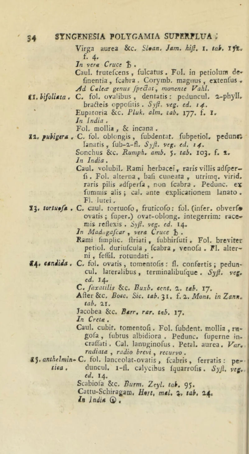 Virga aurea &amp;c. Sltan, Jam. hij?. I. tab. Tft, f. 4. Jn vera Cruce . Caul. (rutefcens , fulcatus . Fol. in petiolum de- finentia, fcabra . Corymb. magnus, extenfus « Calece genus fpefiat, monente Vahl. (I. bifoliata. C. fol. ovalibus, dentatis: peduncul. a-phyll. brafleis oppofitis . Syji. veg. ed. 14. Eupatoria &amp;c. Pluk. alm. tab. 177. f. I, Jn India . Fol. mollia , &amp; incana . 21, pubigtra . C. fol. oblongis , fubdentat. fubpetiol. pedunc*. lanatis, fub-i-fi. Syji. veg. ed. 14. Sonchus &amp;C. Rumph. amb. 5. tab. 103. f. i. Jn India . Caul. volubil. Rami herbacei r raris villis adfper- fi. Fol. alterna , ba(i cuneata , utrimq. virid. raris pilis adfperfa , non fcabra . Pedunc. ex fummis alis; cal. ante explicationem lanato , FI. lutei, IJ. tortuafa . C. caul. tortuofo, fruticofo: fol. (infer, obverfo ovatis; fuper.) ovat-oblong. integerritn: race- mis reflexis . Syft. veg. ed. 14. Jn Madugafcar , vera Cruce . Rami (impiic. llriati, fubhirfuti. Fol. breviter petiol. duriufcula , fcabra , venofa . FI. alter- ni , feffil. rotundati. «4. anilia. C. fol. ovatis, tomentofis: fl. confertis; pedun- cul. lateralibus, terminalibufque . Syji. veg, ed. J4. C. faxatilis Stc. Buxb. ecnt, 1. tab. 17. Afler&amp;c. Dote. Sic. tab. 31. f. 2. Mons. inZann. tab. 21. Jacobea &amp;c. Barr, rar. tab. 17. In Creta . Caul. cubif. tomentofi. Fol. fubdent. mollia , ru- go(a , (ubrus albidiora . Pedunc, fuperne in- craffati. Cal. lanuginofus . Petal. aurea. Var. radiata , radio brevi , recurvo . 2J, anthelmin* C. fol. lanceolat-ovatis , fcabris, ferratis: pe- tiea . duncul, 1 -fl, calycibus fquarrofts. Syji. veg, (d. 14. Scabiola &amp;c. Burm. Zeyl. tab. 95. Cattu-Schiragam, Htrt, mtl. %, tab, 24, In l ndia (£)«