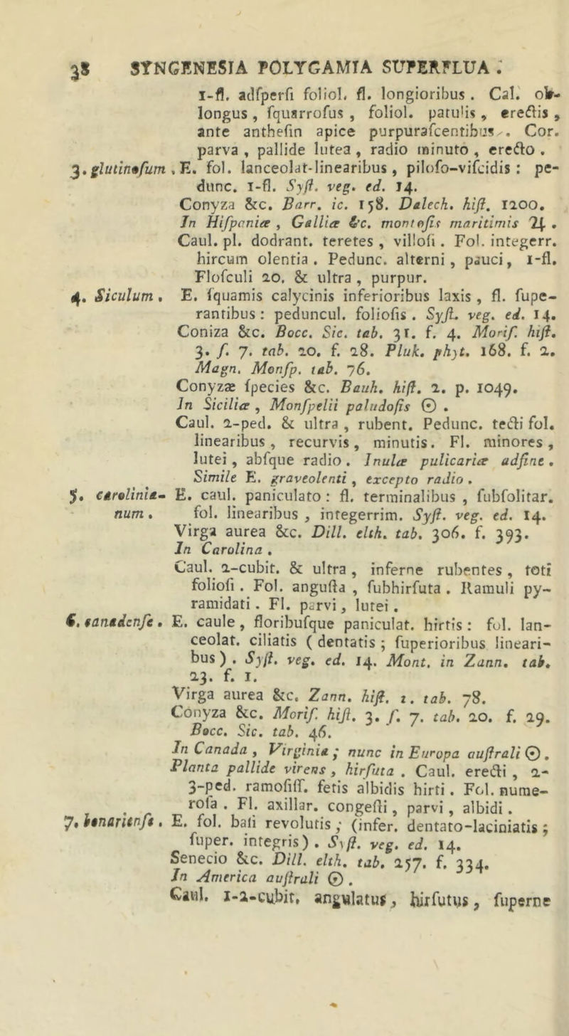 i-fl. adfperfi foliol. fl. longioribus . Cal. olr- longus , fquarrofus , foliol. patulis, eredis , ante anthefin apice purpurafcentibus^. Cor. parva , pallide lutea , radio minuto , eredo . 3. glutin«fium . E. fol. lanceolat-linearibus, pilofo-vifcidis: pe- dunc. i-fl. Syft. veg. ed. 14. Conyza &amp;c. Barr. ic. 158. Dalech. hifl. 1200. Tn Hifpcnia , Gallia L'c. montvjit maritimis . Caul. pl. dodrant. teretes , villoli. Fol. integerr. hircum olentia. Pedunc. alterni, pauci, i-fl. Flofculi ao. &amp; ultra , purpur. 4. Siculum . E. iquamis calycinis inferioribus laxis , fl. fupe- rantibus : peduncut. foliofis . Syjl. veg. ei. 14. Coniza &amp;c. Bocc. Sic. tab. 31. f. 4. Mori/, hifl. 3. /. 7. tab. 20. f. 28. Pluk. phyt. 168. f. 2. Magn. Monfp. tab. 76. Conyzae fpecies &amp;c. Bauh. hifl. 2. p. 1049. Jn Sicilia , Monfpelii pahidofls © . Caul. 2-ped. &amp; ultra , rubent. Pedunc. tedi fol. linearibus, recurvis, minutis. FI. minores, lutei, abfque radio. Inula pulicaria adfine. Simile E. graveolenti , excepto radio . J. drelinie- E. caul. paniculato : fl. terminalibus , fubfolitar. num. fol. linearibus , integerrim. Syjl. veg. ed. 14. Virga aurea &amp;c. Dill. elth. tab. 306. f. 393. In Carolina . Caul. 2-cubit. &amp; ultra , inferne rubentes, toti foliofi. Fol. angufta , fubhirfuta . Ramuli py- ramidati. Fl. parvi, lutei. 5. tantdcnfe. E. caule, floribufque paniculat. hirtis: fol. Ian- ceolat. ciliatis ( dentatis ; fuperioribus lineari- bus ) . Syjl. veg. ed. 14. Mont. in Zann. tab. 23. f. I. Virga aurea kc. Zann. hifl. 1. tab. 78. Conyza kc. Morif. hijl. 3. f. 7. tab. 20. f. 29. Bocc. Sic. tab. 46. Jn Canada , Virginia • nunc in Europa auflrali © . Planta pallide virens , hirfuta . Caul. eredi , 2- 3-ped. ramofiff. fetis albidis hirti. Fol. nume- . - rola . Fl. axillar. congefti, parvi, albidi. 7» binuritnft • E. fol. bali revolutis; (infer, dentato-laciniatis; fuper. integris). Syfl. veg. ed. 14. Senecio &amp;c. Dill. elth. tab. 257. f. 334. Jn America aujlrali © . Caul. 1-2-cubir, angulatus, hirfutus, fuperne