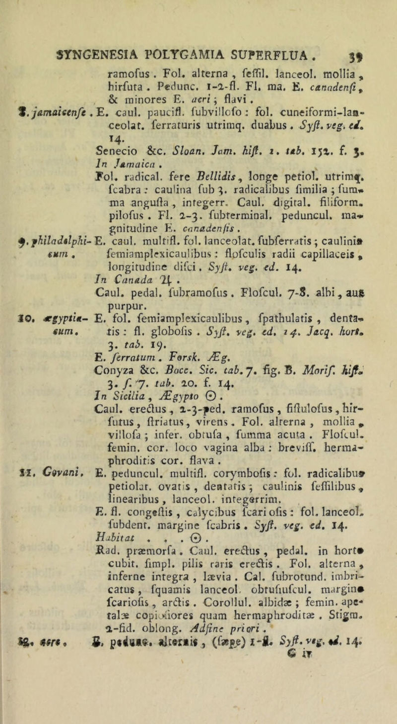 ramofus . Fol. alterna , feflil. lanceo!, mollia , hirfura . Pedunc. i-a-fl. FI. ma. E. canadenfi, &amp; minores E. acri; flavi . jamaiecnfc .E. caul. paucifl. fubvillcfo: fol. cuneiformi-laa- ceolat. ferraturis utrimq. duabus. Syfl. veg. ei. 14. Senecio &amp;c. Sloan. Jam. hifl. 1, ub. 151. f. 3. In Jamaica . Fol. radical. fere Bellidis, longe petiol. utrimq. fcabra ; caulina fub 3. radicahbus fimilia ; fum* ma angufla , integerr. Caul. digiral. filiform. pilofus . FI. a-3. fubterminal. peduncul. ma» gnitudine E. cnnaden/is . j.fhiladtlphi- E. caul. multifl. fol. lanceolat. fubferratis ; caulini» eum . fetniamplexicaulibus: flofculis radii capillaceis , longitudine difci. Syfi. veg. eJ. 14. In Canada 2f . Caul. pedal. fubramofus. Flofcul. 7*8. albi, auft purpur. 20. ecgypti*- E. fol. femiamplexicaulibus, fpathulatis , denta» eum. tis : fl. globofis . Syjl. veg. ed. 14. Jacq. hortm 3. tab. 19. E. ferratum . Forsk. AUg. Conyza &amp;c. Bocc. Sic. tab. 7. fig. B. Morif. Jiijf* 3. /. 7. tab. 2.0. f. 14. In Sicilia , ALgypto ©. Caul. eredus, a-3-ped. ramofus, fiflulofus, hir- futus, flriatus, virens. Fol. alrerna , mollia* villofa ; infer, obtufa , fumma acuta . Flofcul. femin. ccr. loco vagina alba : breviff. herma- phroditis cor. flava . II, Gvvani. E. peduncul. multifl. corymbofis: fol. radicalibu* petiolar. ovaris, dentatis; caulinis feflilibus» linearibus, lanceol. integerrim. E. fl. congeflis, calycibus fcariofis: fol. lanceol. fubdent. margine fcabris . S\ft. veg. td. 14. Habitat . . . © . Rad. praemorfa . Caul. eredus , pedal. in hort# cubit. fimpl. pilis raris eredis . Fol. alterna , inferne integra , Itevia . Cal. fubrotund. imbri- catus , fquamis lanceol. obtufiufcul. margin* fcariofis, ardis. Corollul. albidae; femin. ape- talae copiotiores quam hermaphroditae . Stigra. a-fid. oblong. Adfine priori . 5. p«4iii«:. alceraif., (faspe) i-S. Syfl. veg, u. 14. C IT