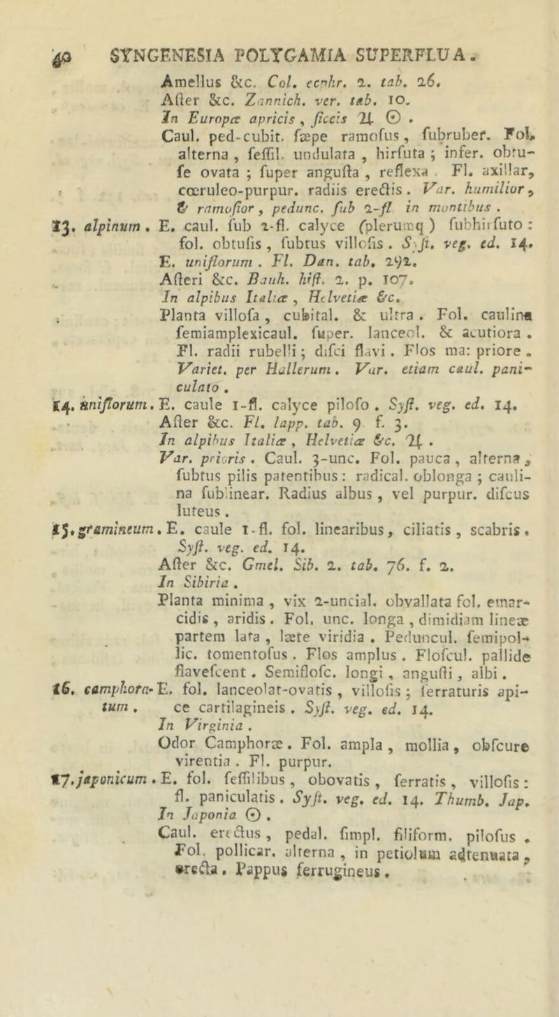 Amellus &amp;c. Coi. ecnhr. 1. tab. 16. Arter &amp;c. Zannich. ver. tab. io. In Europa apricis , Jiccis 2f © • Caul. ped-cubit. faepe raraofus, fubrubef. FoL alterna , fertil. undulata , hirfuta ; infer, obru- fe ovata ; fuper angurta , reflexa FI. axillar, t cceruleo-purpur. radiis eredis. Var. humilior, &amp; rnmofior, pedunc. fub 1-fl in montibus . 13» alpinum. E. caul. fub x-fl. calyce (plerumq ) fubhiifuto: fol. obtufis , fubtus villcfis . Sji. veg. ed. 14. E. uni florum . FI. Dan. tab. 2^)1. Arteri &amp;C. Bank. hift. 2. p. J07. In alpibus Italia , Helvetia &amp;c. Planta villofa , cubital. &amp; ultra . Fol. caul i r* femiamplexicaul. fuper. lanceol. &amp; acutiora . FI. radii rubelli; difci flavi. Flos raa: priore . Variet, per Hullerum . Var. etiam caul. pani- culato . 'M* kniflorum. E. caule i-fl. calyce pilofo . Syft. veg. ed. 14. Arter &amp;c. Fl. lapp. tab. 9 f. 3. In alpibus Italia , Helvetia &amp;c. rUr . Var. prioris. Caul. 3-unc. Fol. pauca, alterna , fubtus pilis patentibus: radical. oblonga ; cauli- na fub.inear. Radius albus, vel purpur. difeus luteus. .gramineum. E. caule i-fl. fol. linearibus, ciliatis, scabris. Syft. veg. ed. 14. Arter &amp;c. Gmel. Sib. a. tab. 76. f. a. In Sibiria . Planta minima , vix 2-uncial. obvallata fcl. emar* eidis , aridis . Fol. unc. longa , dimidiam lineae partem lata , leete viridia . Peduncul. femipol* lic. tomentofus . Flos amplus. Flofcul. pallide flavefcent . Semiflofc. longi, angurti, albi. t6. c amphora- E. fol. iancedat-ovaris , villorts ; (erraturis api- tum , ce cartilagineis . Syfl. veg. ed. 14. In Virginia . Odor Camphorae. Fol. ampla, mollia, obfcure virentia . FI. purpur. Japonicum . E. fol. fertilibus, obovatis, ferratis, villorts: fl. panicularis. Syft. veg. ed. 14. Thumb. Jap. In .Topon i a © . Caul. ere cius, pedal. rtmpl. filiform. pilofus . Fol. pollicar. alterna, in petiolum «dtermara ? •reda. Pappus ferrugineus.