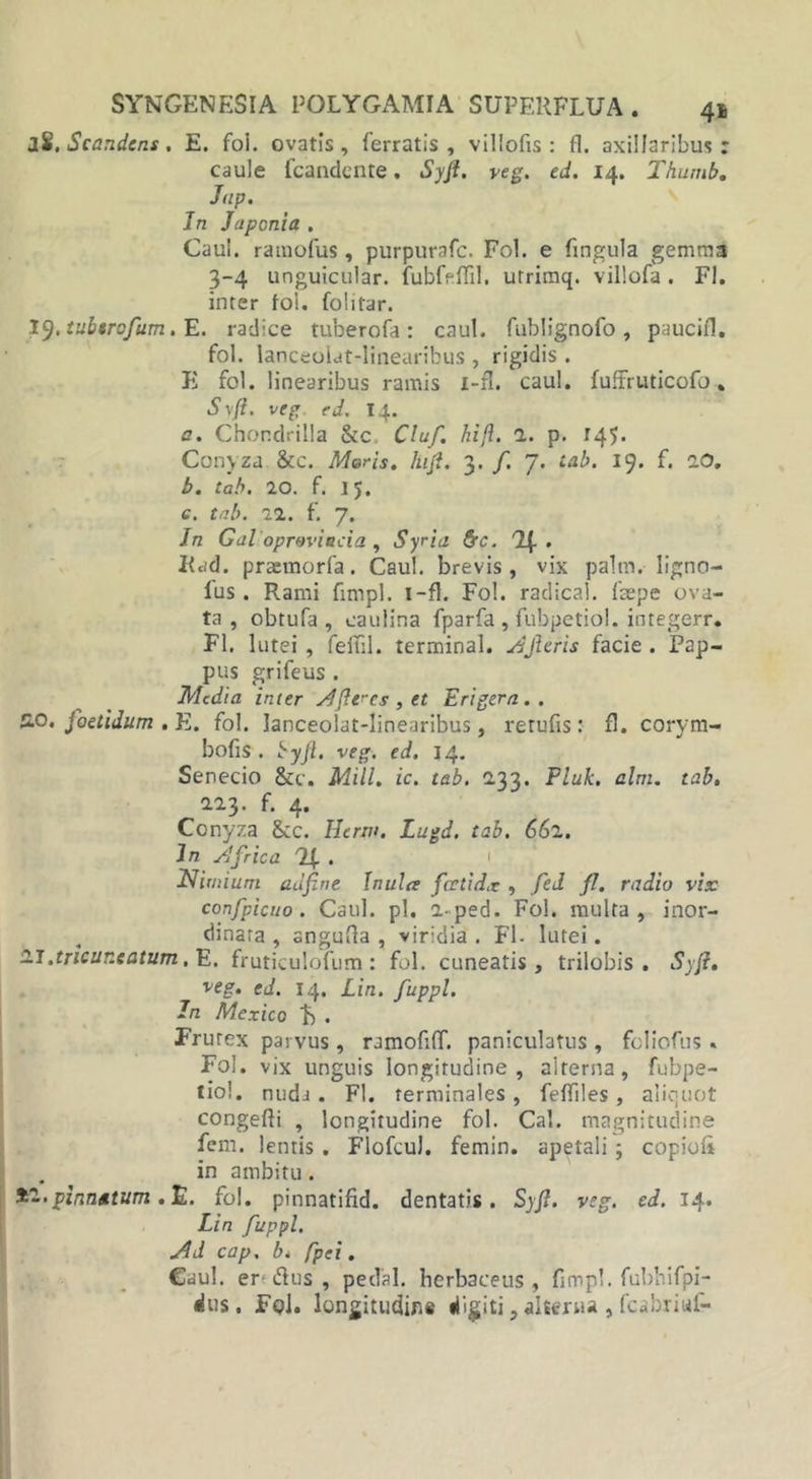 jS. Scandens. E. foi. ovatis, ferratis, villofis : fl. axillaribus: caule fcandente. Syft. veg. ed. 14. Thumb. Jup. In Japonia . Caul. ramofus, purpurafe. Fol. e fingula gemma 3-4 unguicular. fubfeffil. utrimq. villofa. Fl. inter foi. folitar. 19. tubsrofum. E. radice tuberofa : caul. fublignofo , paucifl. fol. lanceolat-linearibus , rigidis . E fol. linearibus ramis i-fl. caul. fuftruticofo. Syft. veg ed, 14. a. Chondrilla &amp;c Cluf. kift. 1. p. 145« Conyza &amp;c. Moris, hiji. 3. /. 7. tab. 19. f. 20. b. tab. 20. f. 15. e, tab. 21. f. 7. In Galoproviocia, Syria &amp;c. '2f • Kad. prasmorfa. Caul. brevis, vix palm. Iigno- lus . Rami fimpl. 1 —fl. Fol. radical. fcepe ova- ta, obtufa , caulina fparfa , fubpetiol. integerr. Fl. lutei , feftil. terminal. sijhris facie . Pap- pus grifeus . Media inter ^fleres, et Erigera.. £0. foetidum . E. fol. lanceolat-linearibus, retufis : fl. corym- bofis . byfl. veg. ed. 14. Senecio &amp;c. Mill. ic. tab. 2.33. Piuk. alm. tab. 223. f. 4. Conyza 8cc. Ilerm. Lugd. tab. 661. In Africa II . Nimium adfine Inula fcetidx , fed fl. radio vix confpicuo. Caul. pl. 2-ped. Fol. multa, inor- dinata , angufla , viridia . Fl- lutei. 21 .tricur.eatum. E. fruticulofum: fol. cuneatis, trilobis . Syft. veg. ed. 14. Lin. fuppl. In Mexico b . Frutex parvus , ramofifT. paniculatus , feliofus« Foi. vix unguis longitudine, alterna, fubpe- tiol. nuda . Fl. terminales , feffiles , aliquot congefli , longitudine fol. Cal. magnitudine fem. lentis . Flofcul. femin. apetali ; copiofi in ambitu . t--pinn*tum .E. fol. pinnatifid. dentatis. Syjl. veg. ed. 14. Lin fuppl. Ad cap, bt fpei. Caul. er* dus , pecTal. herbaceus, fimpl. fubhifpi- dus. FgJ. longitudine digiti, alterna , fcabriuf-
