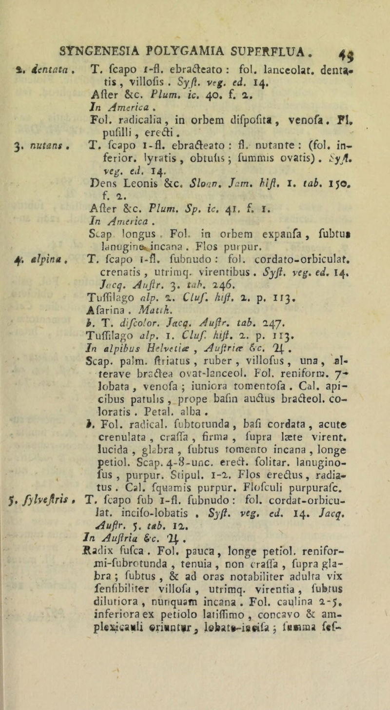 l. dentata . T. fcapo i-fl. ebradeato : fol. lanccolat. denta- tis , villofis . Sy(i. veg. ed. 14. After &amp;c. Pium. ic. 40. f. 2. In America . Fol. radicalia , in orbem difpofita , venofa. FI, pufilli, eredi. 3. nutans. T. fcapo i-fl. ebradeato : fl. nutante: (fol. in- ferior. lyratis , obtulis; fumnns ovatis) . £yjl, veg. ed. 14. Dens Leonis &amp;c. Sloan. Jam. hij\. I. tab. 150, f. a. Arter &amp;c. Pium. Sp. ic. 41, f. 1. In America . Stap longus . Fol. in orbem expanfa, fubtua lanugineoncana . Flos purpur. 4; alpina, T. fcapo i-fl. fubnudo : fol. cordato-orbiculat. crenatis , utrimq. virentibus . Syfi. veg. ed. 14. Jvcq. Anjir. 3. tab. 246. Tuflilago nlp. 2. Cluf. fufi, 2. p. 113. A farina . Matik. i. T. difcolor. Jacq. Aufir. tab. 247. Turtilago alp. t. Cluf hifi. 2. p. 113. In alpibus Helvetiae , Aujlrite Gc. df . Scap. palm. rtriatus , ruber, villofus, una, al- terave bradea ovat-lanceol. Fol. reniforrw. 7- lobata , venofa ; iuniora tomentofa . Cal. api- cibus patulis , prope bafin audus bradeol. co- loratis . Petal. alba . i. Fol. radical. fubtotunda , bafi cordata , acute crenulata , craffa , firma , fupra laete virent, lucida , glabra , fubtus tomento incana , longe petiol. Scap. 4-8-ufic. ered. folitar. lanugino- fus , purpur. Stipul. 1-2. Flos eredus, radia- tus . Cal. fquamis purpur. Flofculi purpurafc. $. fylvtfiris , T. fcapo fub i-fl. fubnudo : fol. cordat-orbicu- Jat. incifo-lobatis . Syfi. veg, ed. 14. Jacq. Aufir. 5. tab. 12. In Aufiria &amp;c. 'If . Radix fufca . Fol. pauca, longe petiol. renifor- jni-fubrotunda , tenuia , non c raffa , fupra gla- bra ; fubtus , &amp; ad oras notabiliter adulta vix fenfibiliter villofa , utrimq. virentia, fubrus dilutiora , nunquam incana . Fol. caulina 2-5, inferiora ex petiolo latirtimo , concavo &amp; am- pUxicanli «manuar, lobata-iseila ; fu «una fef-