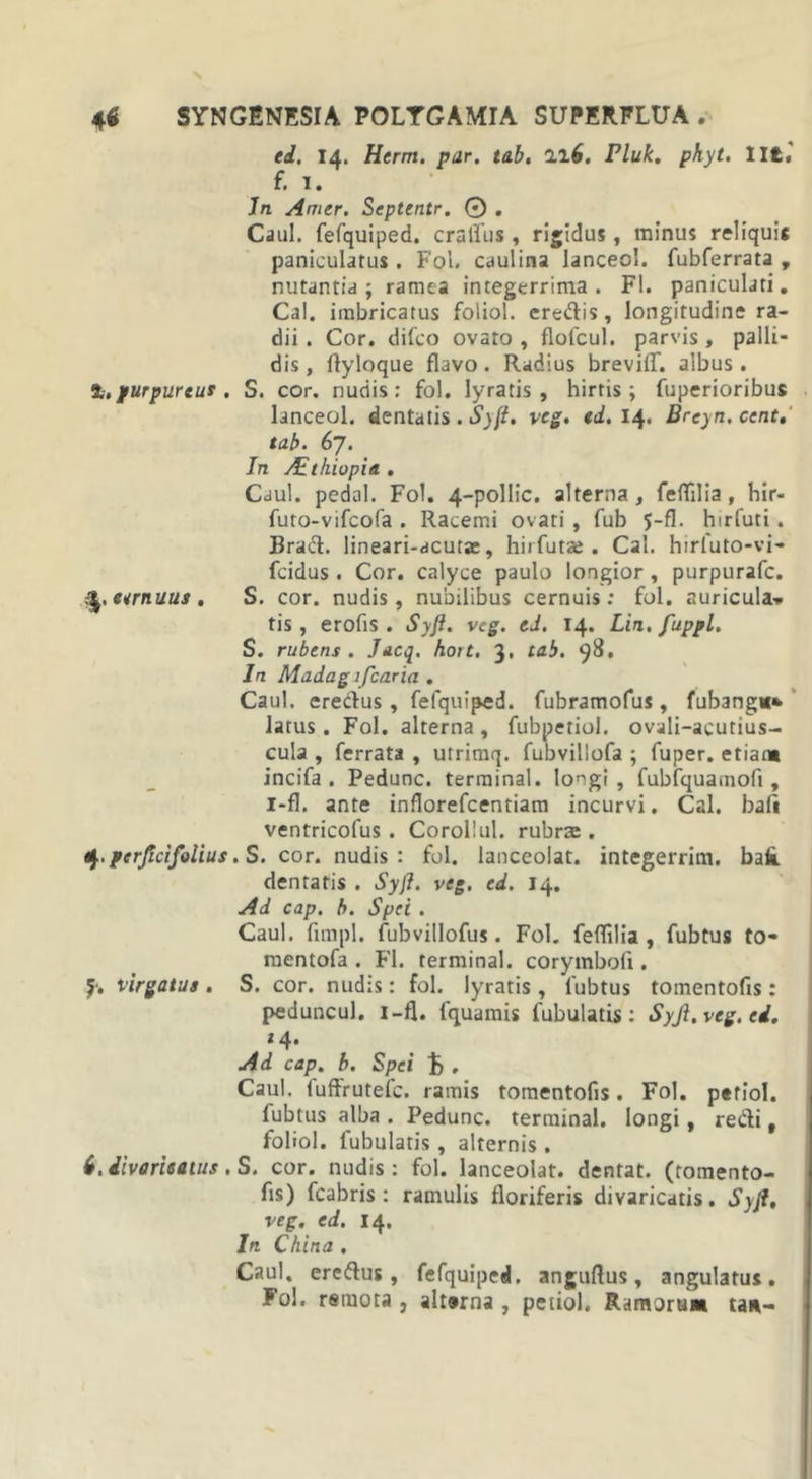 fi. 14. Herm. par. tab. ai6. Pluk. phyt. Ut. f. 1. In Amer. Septentr. 0 . Caul. fefquiped. crallus , rigidus, minus reliquis paniculatus . Fol. caulina lanceci. fubferrata , nutantia; ramea integerrima. FI. paniculati. Cal. imbricatus foliol. eredis, longitudine ra- dii . Cor. difeo ovato , flofcul. parvis , palli- dis, ftyloque flavo. Radius breviff. albus. 1,purpureus, S. cor. nudis: fol. Iyratis , hirtis; fuperioribus lanceol. dentatis..?}/?. vcg. ei. 14. Breyn.cent. tab. 67. In AEthiopia . Caul. pedal. Fol. 4-pollic. alterna , fertilia , hir- furo-vifeofa . Racemi ovari, fub 5-fl. hirfuti. Brad. lineari-acurse, hirfutae . Cal. hirluto-vi- fcidus . Cor. calyce paulo longior , purpurafe. $. cernuus, S. cor. nudis, nubilibus cernuis: fol. auricula-. tis , erofis . Syjt. vcg. ed. 14. Lia. fiuppl. S. rubens. Jacq. hort. 3. tab. 98. In Maiag 1 ficaria . Caul. eredus, fefquiped. fubramofus, fubangii* larus. Fol. alterna , fubpetiol. ovali-acutius- cula , ferrata , urrimq. fubvillofa ; fuper. etiam incifa . Pedunc. terminal. longi , fubfquamofi, i-fl. ante inflorefcentiam incurvi. Cal. baf» ventricofus . Corollul. rubrae . 4. perficifolius. S. cor. nudis: fol. lanceolat. integerrim. baf». dentatis . Syft. veg. ed. 14. Ad cap. b. Spei. Caul. fimpl. fubvillofus. Fol. fertilia, fubtus to- mentofa . FI. terminal. corymboft. J-. virgatus . S. cor. nudis: fol. Iyratis, fubtus tomentofis: peduncul. i-fl. fquamis fubulatis: Syfi.veg.ei. 14. Ad cap. b. Spei $ , Caul. fuftrutefc. ramis tomentofis. Fol. petiol. fubtus alba . Pedunc. terminal. longi, redi, foliol. fubulatis, alternis . 6. divaricatus ,S. cor. nudis: fol. lanceolat. dentat. (roraento- fis) fcabris : ramulis floriferis divaricatis. Syfi, veg. ed. 14, In China . Caul. eredus, fefquiped. anguftus, angulatus. Fol. remota, alterna, petiol. Ramoru» tau-