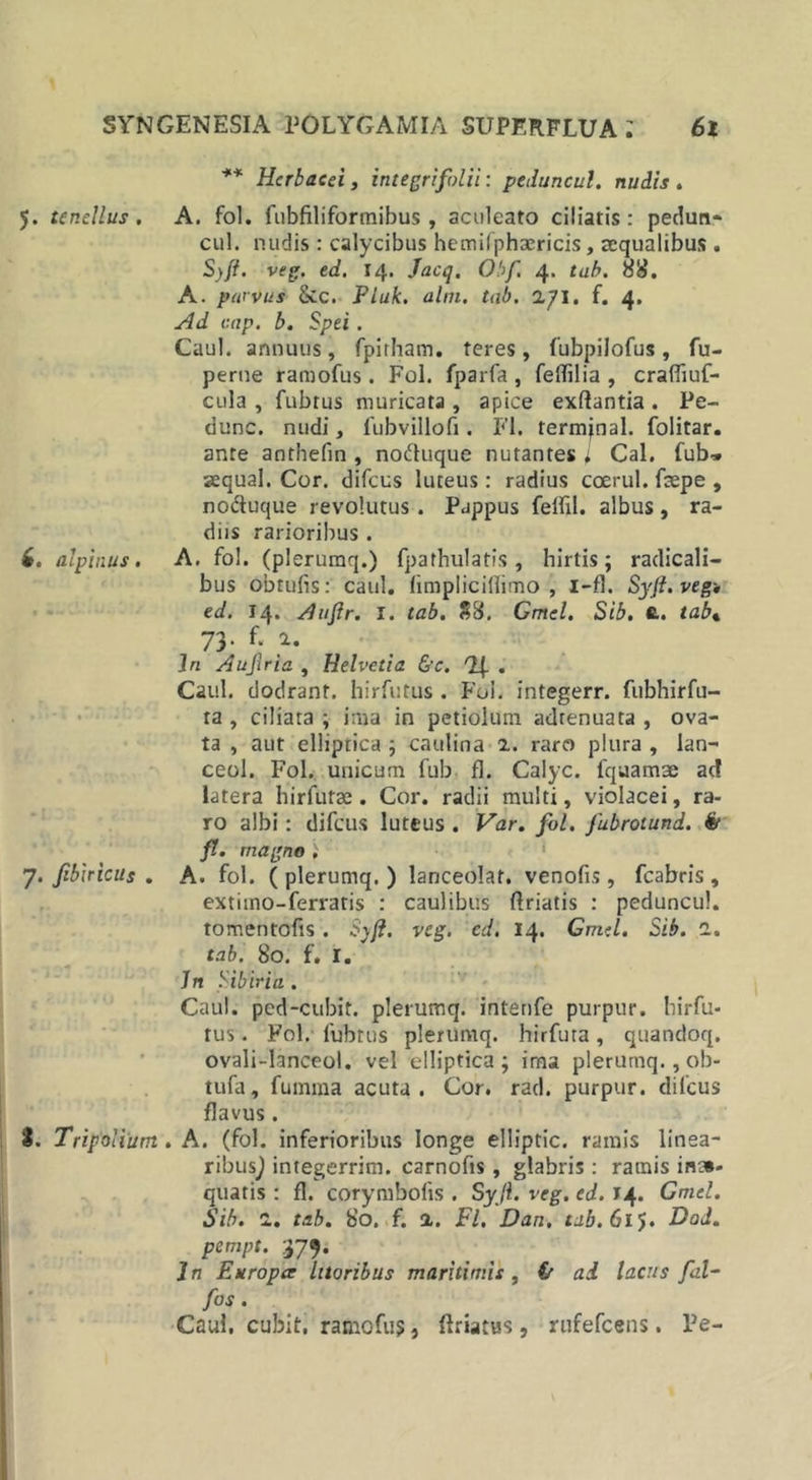 ** Herbacei, integri folii: peduncul. nudis . 5. tenellus. A. fol. fubfiliformibus , aculeato ciliatis: pedun- cul. nudis: calycibus hemifphaericis, aequalibus . S)ft. veg. ed. 14. Jacq, Obf. 4. tab. 88. A. parvus &amp;c. Pluk. alm. tab. 271. f. 4. Ad cap. b. Spei. Caul. annuus, fpirham. teres, fubpilofus, fu- perne ramofus. Fol. fparfa, felTilia , craffiuf- cula , fubtus muricata , apice exftantia . Pe- dunc. nudi, 1'ubvillofi. FI. termjnal. folitar. ante anthefin , no&amp;uque nutantes ^ Cal. fub» aequal. Cor. difeus luteus: radius coerul. fcepe , no&amp;uque revolutus. Pappus feifil. albus, ra- diis rarioribus . 6. alpinus. A. fol. (plerumq.) fpathulatis , hirtis; radicali- bus obrufts: caul. limplicillimo , i-fl. Syft.veg« ed. 14. Aujlr. I. tab. 88. Gmel. Sib. fi.. tab* 73. f. 2. Jri Aujlr ia , Helvetia &amp;c. Qf . Caul. dodranf. hirfutus . Fol. integerr. fubhirfu- ta , ciliata ; ima in petiolum adtenuata , ova- ta , aut elliptica ; caulina 2. raro plura , lan- ceol. Fol. unicum fub fl. Calyc. fquamae acf latera hirfutae. Cor. radii multi, violacei, ra- ro albi: difeus luteus . Var. fol. fubrotund. &amp; fl. magno i 7. fibiricus . A. fol. ( plerumq. ) lanceolat. venofis , fcabris, extiino-ferratis : caulibus (friatis : peduncul. tomentofis . Syft. veg. ed. 14. Gmel. Sib. 1. tab. 80. f. I. Jn Sibiria . Caul. ped-cubit. plerumq. intenfe purpur. hirfu- tus . Fol. fubtus plerumq. hirfuta, quandoq. ovali-lanceol. vel elliptica; ima plerumq., ob- tufa, fumma acuta. Cor. rad. purpur. difeus flavus. 8. Trifolium . A. (fol. inferioribus longe elliptic. ramis linea- ribusj integerrim. carnofis, glabris: ramis ina- quatis : fl. corymbolis . Syji. veg. ed. 14. Gmel. Sib. 2. tab. 80. f. 2. Fl. Dan. tab.GV). Dad. pempt. 379. J n Europce luoribus maritimis , &amp; ad lacus fal- fos. Caul. cubit, ramofus, (friatus, rufefeens. Pe-