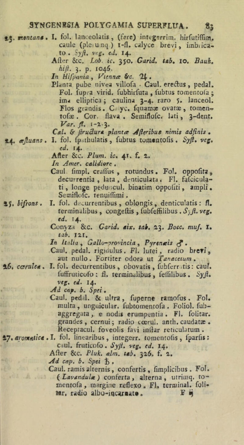 15. ntntans. I. fol. lanceoUtis , (fere) inttgrrrim. hirfutiffim. caule (ple.unq) i-fl. calyce brevi, imb.ica- to . Syjfl. vrg. ed. 14. Affer &amp;c. Lob. ic. 350. Garid. tab. IO. Bauk, hift. 3. p, 1045. In Hifpania , Vienna 6rc. '!(.. Planta pube nivea villofa . Caul. eredtus, pedal. Fol. fupra virid. fubhirfuta , fubtus tomentofa ; im* elliptica ; caulina 3-4. raro 5. Janceol. Flos grandis. C yc. fquamae ovatae, tomen-* tofae. Cor. flava . Semiflofc. lati, 3-dent. Var. Jf. i-1-3. Cal. &amp;• JiruSura planta Ajleribus nimis adfinis . 44. ajluans. I. fol. fparhulatis, fubtus tomantofis. Syfl. veg. ed. 14. After &amp;c. Pium, ic. 41. f. a. In Amer. calidiore . Caul fimpl. crallus , rotundus. Fol. oppofita, decurrentia, lata, denticulata. FI. fafcicula- ti, longe peduncul. binatim oppofiti, ampli. Semiflofc. tenuiffimi. 4$, bifrons. I. fol. decurrentibus, oblongis, denticulatis: fl. terminalibus, congeffis , fubfeffilibus . SjJl. veg. ed. 14. Conyza &amp;c. Garid. aix. tab. 23. JBocc. mu/. I. tib. iar. In Italia , Gallo—iwincia , Pyrtnais (f . Caul. pedal. rigidulus. FI. lutei, radio breri, aut nullo. Fortiter odora ut Tanaceium . 46. coerulea . I. fol. decurrentibus, obovatis, fubferr.tis: cauf. fuffruticofo : fl. terminalibus , lelfilibus. Syjl. veg. ed. 14. Ad cap. b. Spei. Caul. ped ti. &amp; ultra, fuperne ramofus. Fol. multa, unguicular. fubtomentofa . Foliol. fub- aggregata, e nodis erumpentia. Fl. folitar. grandes, cernui; radio ccerui. anth. caudatae . Recepracul. foveolis favi inffar reticulatum . aromatica .1. fol. linearibus, integerr. tomentofis, fparfis: caul. fruticofo. Syft. veg. ed. 14, Affer &amp;c. Pluk. alm. tab. 326. f. 2. Ad cap. b. Spei . Caul. ramis alternis, confertis, fimplicibus . Fol. ( Lavar.dulte ) conferta , alterna , utrimq. to- mentofa, margine reflexo. Fl. terminal. foli- ttr, radio albo-ujcariat», F «i /