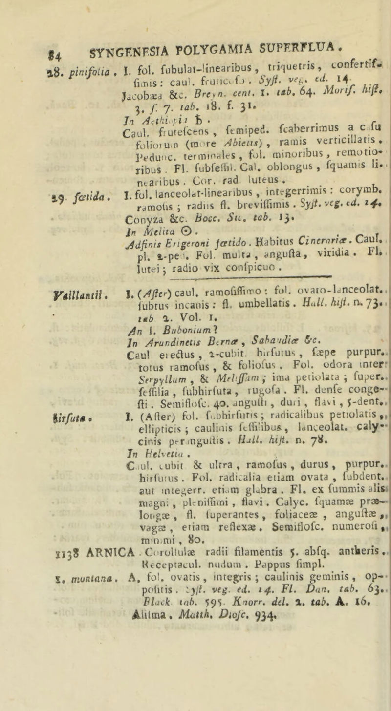 3.8. pini folia , I. fol. fubulat-linearibus , triquetris, confertif- fimis: caul. fruuevO . i&gt;yji. v(b; ,.a Jacobaed &amp;c. Breyn. cent. X. &lt;«*• 64* Mori/, hif. 3. f- 7- la^K ^ 31, In Acthvpii f&gt; • „ , r. Caul. fiutelceos, ftmiped. fcaherriraus a c.lu folio» U.n (tuore Abiens), ramis verticilJans . Peduuc. terminales, fol. minoribus, remotio- ribus. FI. fubfeffil. Cal. oblongus, fquamis h. ncaribus . Cor. rad luteus . # j. fol. laneeolat-linearibus, integerrimis: corymb. rdmotis ; radiis fl. brevilfitnis . Syjt. vcg. td. 14, Conyza &amp;c. bocc. Su. tab. 13. In Melita ©. Jdfinis Engeroni jatiJo . Habitus Cincrart*. Cau . pl. i-pe i. Fol. multa, angufta, viridia. Fl. lutei j radio vix confpicuo . 3.9 fetida litfuta VailUntii. I. caul. ramofiffi.ro : fol. «vato-lanceolat., iubtus incanis: fl umbellatis . HuU.niJt.n. 73., a. Vol. 1. 1. Bubomum ? 7n Arundinetis Bcrncr , Sabaidier &amp;c. Caul eieftus, l-cubit. hirfutus , fjepe purpur. totus ramofus, &amp; folioius . Fol. odora inter Serpyllum , &amp; Mrlijfim ; ima petiolata ; fuper.. feffilia , fubhirfuta, rugofa. Fl. denfe conge- fti. Semiflofc. 40. angulti, duii, flavi , 5-denr. I. (Afler; fol. fi.bhirfuris; radicalibus petiolatis,, ellipticis ; cauli.us itlh ibus, lonceolat. caly* cinis pt-r .nguifis . Hali, hijt. n. 7^* In Heb etia . C ul. vubit &amp; ultra, ramofus, durus, purpur. hirfuius . Fol. radicalia etiam ovata , lubdent. aut mtegerr. etiam gLbra . Fl. ex fummis alis magni , plrniffimi , flavi . Calyc. fquama; prae- longae , fl. luperantes, foliaceae, anguflae,, vagae , etiam reflexae , Semiflofc. numeroli, tum.mi, 80. J13S ARNICA • Coroliulae radii filamentis f. abfq. antkeris. Ii - n.mrni-nl nudum L) irw\nr 11 m iv 1 So montana Keceptacul. nudum . Pappus fimpl. na. A, fol. ovatis, integris; caulinis geminis, i .. /j .... . .. c/ n,- . „ c op- , .v... -r politis. K.ylt. veg. ed. 14. Fl. Dan, tab. 63». Black tnb. 595. Knorr. dei. 1. tab. A. l6» Aiilma. Mutili, Diojc, 934,