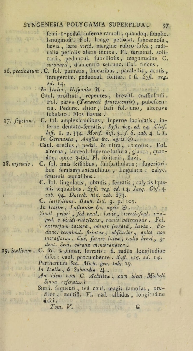 femi-i-pedal. inferne ramofi, quandoq. fimplic. lanuginofi. Fol. longe petielat. fubcarnofa , laevia , laete virid. margine rubro-fulca ; radi- calia petiolis alatis innixa . FI. termina!, soli- tarii , peduncul. lubvillofis, magnitudine C. coronarii, diamentro sellunc. Cal. fufcus . 16, pectinatum . C. fol. pinnatis, linearibus, paralellis , acutis, inregerrim. peduncul. folitar, i-fl. Syjl. veg, ed. 14. In italia, Hifpania 'H . Gaul. profirati, repentes , brevilf. craffiufculi. Fol. parva (Tanaceti frutescentis) , pubefcen- tia. Pedunc. altior, bafi fol. uno, alterove fubulato . Flos flavus . 17, fegetum . C. fol. amplexicaulibus, fuperne laciniatis; in- ferne dentato-ferratis . Syjl. veg. ed. 24. Cluf. hifi. I. p. 334, Morif. kifi. 3. /. 6. tab. 4 t. I. Jn Germania , An glire &amp;c. agris © . Caul. eredlus , pedal. &amp; ultra, ramofus . Fol. alterna , Ianceol. fuperne latiora , glauca , quan- doq. apice 3-fid. FI. folitarii , flavi . 18, myconis . C. fol. imis felfilibus , fubfpathulatis ; fuperiori- bus femiamplexicaulibus , lingulatis : calyc. fquamis aequalibus . C. fol. lingulatis, obrufis, ferratis ; calycis fqua- mis aequalibus . Syjl. veg. ed. 14. Jacq. Obf. 4. . tab. 94. Dalcch. hijl. tab. 873. C. latifolium. Bauli, hijl. 3. p. IOJ. In Italice , Lufitania 6’6\ agris ©. Simii, priori , fed caul. Ixvis , teretiufcul. 1-2- ped. e viridi-rubefcens , ramis patentibus . Fol. extrorjum latiora , obiujt ferrata , Levia. Fc- dunc. ttrminal, Jiriatus, obfcurior, apice nor. incraffatus . Cor. future lutea , rudia brevi, 3- dent, Stm. cwona membranacea. ly.italicum. C. fol. a-pinnat. ferratis: fi. radiis longitudine difci : caul. procumbente. Syft. veg. ed. 14.. Parthenium &amp;c. Midi. gen. tab. 29. In Italia , &amp; Sabaudia lf . An idem cum C. Achillex , cum idem Micheli Sinon, referatur? SinjiJ. fequeuti , fed caul. tnagis ramofus , ere- dior, aiulttfl. FI. rad. albidus, longitudine difci. Toni, V. G