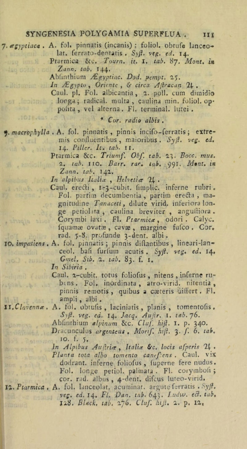 7. Aegyptiaca . A. fol. pinnatis (incanis) : foliol. obrufe lanceo- lat. ferrato-dentatis . Syft. veg. eJ. 14. Ptarmica &amp;c. Tuum. it. I. tab. 87. Mont, ia Zann. tab. r44* Abiinthium Aigyptiac. Dod. pempt. 25. In JEgypto , Oriente , &amp; circa Aftracan . Caul. pl. Fol. albicantia, 2. poli, cum dimidio lorga j radical. multa, caulina min. foliol. op* polita, vel alterna. FI. terminal. lutei. * Cur. radio albis . macrophylla . A. fol. pinnatis, pinnis incifo-ferratis ; extre- mis confluentibus, maioribus. Syft. veg. cd. 14. Piller. It. tab. II. Ptarmica &amp;c. Triumf. Obf. tab. 2.}. Bocc. mus. 1. tab. no. Batr. rar, tab. 991. Ment. ia Zann. tab. 142. In alpibus Italia: , Helvetiae 7J, . Caul. eredi, 1-3-cubit. fimplic. inferne rubri. Fol. partim decumbentia , partim ereda , ma- gnitudine Tanaceti, dilute virid. inferiora Ion- ge petiolata , caulina breviter , anguftiora. Corymbi laxi . Fl. Ptarmicat, odori . Calyo. fquamae ovatae, cavae , margine fufeo . Cor, rad. 5-8. profunde 3-dent. albi. IO. impatiens. A. fol. pinnatis; pinnis diflantibus, lineari-lan- ceol. bafi furfum acutis . Syjl. veg. ed. 14, Gmtl. Sib. 1. tab. 83. f. I, In Sibiria , Caul. a-cubit. totus foliofus, nitens, inferne ru- bens. Fol. inordinata, arro-virid. nitentia, pinnis remotis , quibus a caeteris differt. Fl. ampli , albi . XI .Clavenrue. A. fol. obtufis, laciniatis, planis, tomentofis. Syft. veg. ea. 14. Jacq. flujlr. I. tab. 76. Abfinthiurn alpinum &amp;c. Cluf. hift. I. p. 340. Dracunculus argenteus . Morif. hift. 3• /• 6&lt; tab, JO. f. 5. In Alpibus Auftrire , Italix &amp;c. locis afperis . Planta tota albo tomento canefens . Caul. V’X dodrant. inferne foliofus, fuperne fere nudus. Fol. longe petiol. palmar.a . Fl. corymbofi ; cor. rad. albus , 4-dent. difeus lureo-virid, 12. Ptarmica , A. fol. lanceolat. acuminat, argute ferratis • Syft. veg. ed. 14. Fl. Dan. tab. 643. I.udw. ecl. tab, 128, BUck. tab. 276. CluJ'. hijl, 2. p, 12,