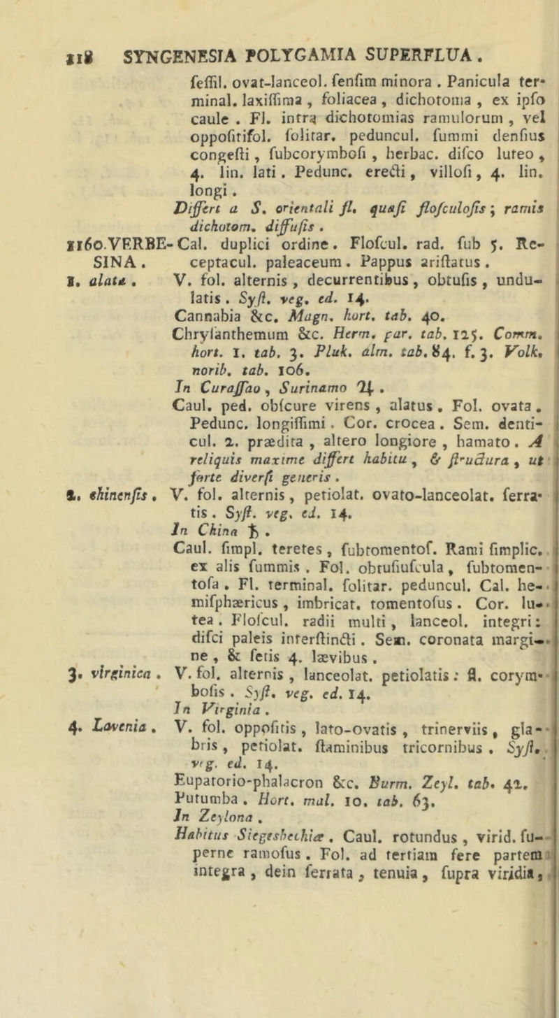 feflil. ovat-Ianceol. renfim minora . Panicula ter* minal. laxiflima , foliacea , dichotoma , ex ipfo caule . FI. intra dichoromias ramulorum , vel oppofirifol. folitar. peduncul. fummi denfius congelli, fubcorymbofi , herbae, difco luteo , 4. lin. lati. Pedunc. eredi, villofi, 4. lin. longi. Difftn a S, orientali fl, quttji flofculoffs; ramis dichotom. dffufis . I160VF.RBE-Cal. duplici ordine. Flofcul. rad. fub 5. Rc- SINA. ceptacul. paleaceum . Pappus ariflatus . I. alau . V. fol. alternis, decurrentibus, obtufis , undu- latis . Syft. veg. ed. 14* Cannabia &amp;c. Magn. hort. tab. 40. Chrylanthemum &amp;c. Htrm. far. tab. 115. Comm. hort. I. tab. 3. Pluk. alm. tab. 84. f. 3. Volk. norib. tab. 106. In Curaffao , Surinamo . Caul. ped. oblcure virens, alatus. Fol. ovata. Pedunc. longiflimi. Cor. crocea. Sem. denti- cul. 2. praedira , altero longiore , hamato. A reliquis maxime differt habitu , &amp; jlru3ura , ut farte diverfi generis . %, ehinenfis. V. fol. alternis, petiolat. ovato-lanceolat. ferra* tis . Syjl. veg, ed. 14. In China £ . Caul. fimpl. teretes, fubromentof. Rami fimplic. ex alis fummi». Fol. obtufiufcula, fubtomen- tofa . Fl. termina!, folitar. peduncul. Cal. he- tnifphaericus , imbricat, tomentofus. Cor. lu- tea. Flofcul. radii multi, lanceol. integri: difei paleis interflindi. Sem. coronata margi- ne , &amp; fetis 4. laevibus . 3. virginiea. V. fol. alternis, lanceolat. petiolatis: fl. corym* bolis . $)ft. veg. ed. 14. In Virginia. 4. Lavenia . V. fol. oppofitis , lato-ovatis , trinerviis, gla- bris , petiolat. flaminibus tricornibus . Syjl, vig. ed. 14. Euparorio-phalacron &amp;c. Burm. Ztyl. tab. 42. Purumba. Hort. mal. 10. tab. 63. Jn Zeylona . Habitus Siegrshethia . Caul. rotundus, virid. fu- perne ramofus. Fol. ad tertiam fere partem integra, dein ferrata, tenuia, fupra viridia*