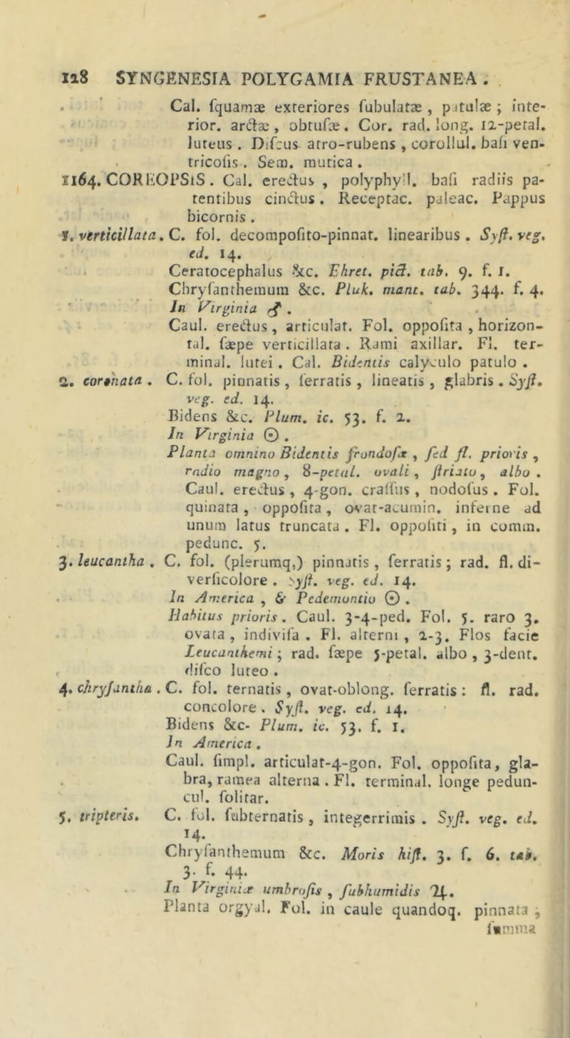 Cal. fquamae exteriores Tubulatas, pitulas; inte- rior. arctae, obtufoe. Cor. rad. long. 12-peraI. luteus . Dif;us atro-rubens , corollul. bab ven- tricolis . Sem. mutica. 1164. COR EOPSiS . Cal. eremus , polyphyil. bafi radiis pa- tentibus cinctus. Receptae, paleae. Pappus bicornis . JT. vtrticillata. C. fol. decompofito-pinnat. linearibus. Syft.veg. ed. 14. Ceratocephalus 8tc. Ehret. pici. itib. 9. f. I. Chryfanthemum &amp;c. Pluk. mane. tab. 344. f. 4. In Virginia rf . Caul. eredtus , articulat. Fol. oppofita , horizon- tal. faepe verticillata . Rjmi axillar. FI. ter- mina!. lutei . Cal. Bidentis calyculo patulo . 2. cortnata . C. fol. pinnatis , lerratis , lineatis , flabris. Syft. veg. ed. 14. Bidens &amp;c. Pium. ic. 53. f. 2. In Virginia 0 . Planta omnino Bidentis frondofx , fed fl. prioris , radio magno, S-petal. ovali , Jlriatu, albo . Caul. erectus , 4-gon. craffus, nodofus . Fol. quinara , oppofita, ovat-acumin. inferne ad unum larus truncata . Fl. oppoliti , in oomm. pedunc. 5. 3. leucantha . C. fol. (plerumq,) pinnatis , ferratis; rad. fl. di- verlicolore . &gt;yjt. veg. ed. 14. In America , Pcdernontio © . Habitus prioris. Caul. 3-4-ped. Fol. J. raro 3. ovata, indivifa . Fl. alterni, 1-3. Flos facie Leucanthemi; rad. faepe j-petal. albo , 3-dent. difeo luteo . 4. chryjdmha.. C. fol. ternatis, ovat-oblong. ferratis : fl. rad. concolore . Syjl. veg. ed. 14. Bidens &amp;c- Pium. ic. 53. f. I. Jn America . Caul. fimpl. articulat-4-gon. Fol. oppofita, gla- bra, ramea alterna . Fl. terminul. longe pedun- cul. folitar. 5. tripteris. C. fol. fubternatis , integerrimis . Svjl. veg. ed. 14. Chryfanthemum &amp;c. Moris hiff. 3. f. 6. tab. t. 44. In Virginiumbrajts , fubhumidis Ff. Planta orgyal. Fol. in caule quandoq. pinnat3 , lamina