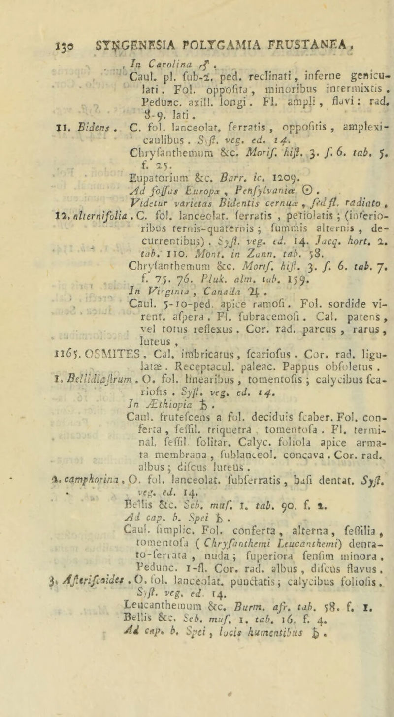 , In Car oli na rf « Caul. pl. fub-2. ped. reclinati, inferne genicu- lari . Fol. oppofita , minoribus intermixtis . Pedunc. axill. longi. Fi. ampli , flavi: rad. 8-9. lati. II. Bidens , C. fol. lanceolat. ferratis , oppofitis , amplexi- caulibus . S,fi. veg. ed. 14. Chryfanthemum &amp;c. Morif hi fi, 3. f 6, tab, 5. f. 2.5. Eupatorium &amp;c. Barr. ic, 1209. Ad fojfas Europa: , P enfylvanice © . Videtur varietas Bidentis cernux , ftdft. radiato , II. nlternifolia . C. fol. lancecdat. ferratis , petioiatis ; (interio- ribus ternis-quaternis ; fummis alternis , de- currentibus) . Syfi. veg. ed. 14. Jacq. hort. 1. tab. I IO. Mont. in Zann. tab. fd. Chryfanthemum ikc. Morif. hifi. 3. /. 6. tab. 7. f. 7J. 76. PJuk. alm. tab. 159. Jn Virginia , Cana da %. Caul. 5-10-ped. apice ramofi. Fol. sordide vi- rent. afpera . FI. fubracemofi. Cal. patens, vel totus reflexus. Cor. rad. parcus , rarus, luteus , Il6j. OS MITES . Cal. imbricatus, fcariofus . Cor. rad. ligu- latae . Receptacul. paleae. Pappus obfoletus . I. Bellidiajirum . O. fol. linearibus, tomentofis ; calycibus fca- rioflS . Syfi. veg. ed. 14. Jn JEthiopia . Caul. frutefeens a fol. deciduis fcaber. Fol. con- ferta , feflil. triquetra tomentofa . FI. tenui- nal, feffil. folitar. Calyc. foliola apice arma- ta membrana , fublanceol. concava . Cor. racl. albus ; difeus Juretis . &lt;%. camphorina . O. fol. lanceolat. fubferratis , bafi dentit. Syfi. . veg. ed. 14. Bellis &amp;c. Seb. mtif. i. tab. 90. f, 1. Ai cap. b. Spei F . Caul. fimplic. Fol. conferta, alterna, feftilia , tomentofa ( Chryfanthtmi Leucanthemi) denti- to-ferrata , nuda ; fuperiora fenfitn minora . Pedunc. i-fl. Cor. rad. albus, difeus flavus. 3*. Afitrifcn tae/.O.lol. lanceolat. punctatis; calycibus foliolis, ■Syfi. veg. ed. 14. Leucanthemum &amp;c. Burm. afr. tab. 58. f, I. Bellis &amp;e. Seb. muf, i. tab. 16. f. 4. Ai cnp, b. Spei, Ijds I'minentibus £ .