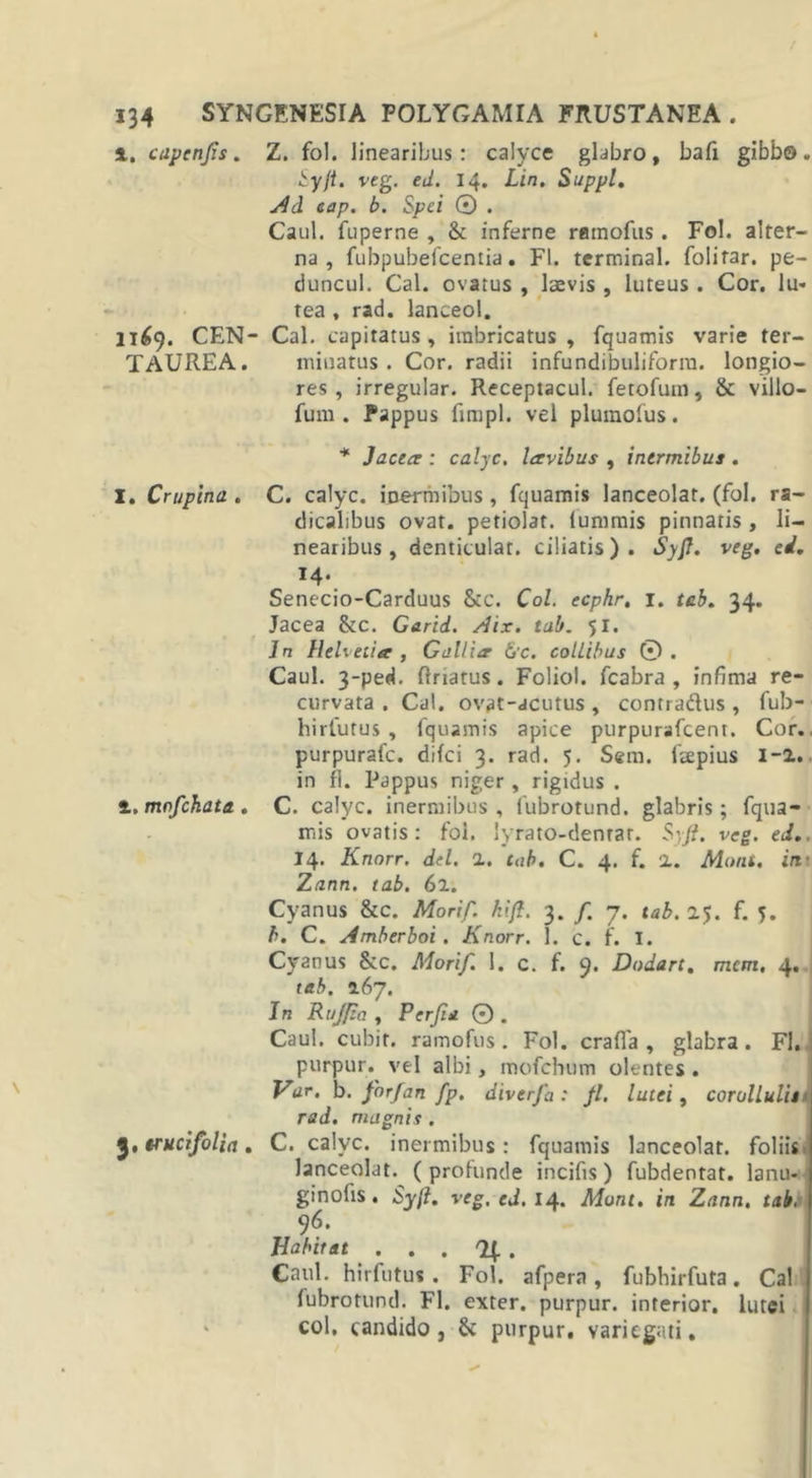 l. capenfs. Z. fol. linearibus: calyce glabro, bafi gibbo. £y/f. veg. ed. 14. Zin. Suppi. Ad eap. b. Spei © . Caul. fuperne , &amp; inferne ramofus . Fol. alter- na , fubpubefcentia. FI. terminal. folitar. pe- duncul. Cal. ovatus , laevis , luteus . Cor. lu- tea , rad. lanceol. 1169. CEN- Cal. capitatus, imbricatus, fquamis varie ter- TAUREA. minatus. Cor. radii infundibuliforra. longio- res, irregular. Receptacul. fetofuin, &amp; villo- fum . Pappus fimpl. vel plumofus. * Jacere : calyc. lavibus , inermibus . I. Crupina . C. calyc. inermibus, fquamis lanceolat. (fol. ra- dicalibus ovat, petiolat. fu nimis pinnatis , li- nearibus, denticulat. ciliatis). SyJ7. veg. ed. 14. Senecio-Carduus &amp;c. Coi. ecphr. 1. tab. 34. Jacea &amp;c. Garid. Aix. tab. 51. In Helvetia , Gallia 6'c. collibus © . Caul. 3-ped. friatus. Foliol. fcabra , infima re- curvata . Cal. ovat-acutus , contraftus , fub- hirfutus , fquamis apice purpurafeent. Cor. purpurafe. difei 3. rad. 5. Sem. Repius 1-2. in fi. Pappus niger , rigidus . i. mofckata. C. calyc. inermibus, fubrotund. glabris; fqua- mis ovatis: fol. lyrato-dentar. Syft. veg. ed.. 14. Knorr. dei. 2. tab. C. 4. f. 2. Morit. irr Zann. tab. 62. Cyanus &amp;c. Morif. kifl. 3. /. 7. tab. 25. f. f. b. C. Amberboi . Knorr. \. c. f. I. Cyanus &amp;c. Morif. 1. c. f. 9. Dodart. mem. 4. tab. 267. In Rujfta , Perfia 0 . Caul. cubit. ramofus. Fol. crafia , glabra. FI. purpur. vel albi, mofchum olentes. Var. b. for f an fp. diverfa : Jl. lutei, cor ollulis rad. magnis . 3. trucifolia. C. calve, inermibus: fquamis lanceolat. foliis lanceolat. ( profunde incifis) fubdentat. lanu- ginofis. Syjl. veg, ed. 14. Mont. in Zann. tab, 9 6. Habitat . . . If . Caul. hirfutu*. Fol. afpera, fubhirfuta. Cal fubrotund. FI. exter, purpur. interior, lutei col, candido, &amp; purpur, variegati.