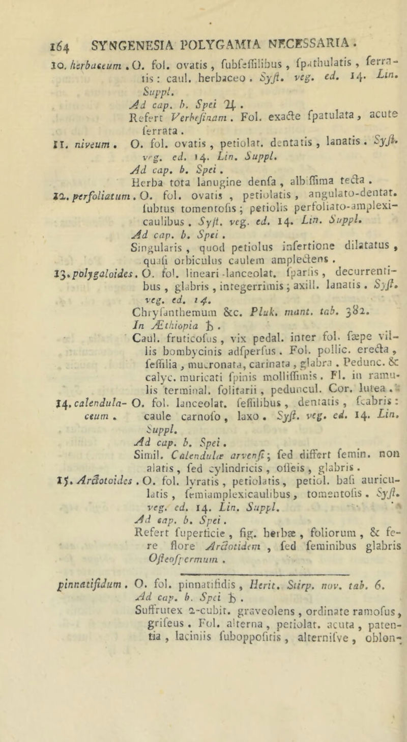 10. herbaceum . O. fol. ovatis, fubfsfiilibus , fpathulatis , tern- us: cati!, herbaceo. Syji. vcg. ed. 14. Lin. Suppi. Ad cap. b. Spei 2\- . Refert Verbejinam . Fol. exade fpatulata, acute lerrata . 11. niveum. O. fol. ovatis, petiolar. dentatis, lanatis. vrg. ed. 14. Lin. Suppi. Ad cap. b. Spei . Herba tota lanugine denfa , alb ftima teda . 11. perfoliatum . O. fol. ovatis , petiolatis, angulato-dentat. lubtus tomentofis; petiolis perfoliato-amplexi- caulibus . Syji. vcg. ed. 14. Lin. Suppi. Ad cap. b. Spei . Singularis , quod petiolus mfertione dilatatus , quali orbiculus caulem arapledens . l$*poljgaloides. O. fol. lineari-lanceolat. ipariis, decurrenti- bus , glabris , integerrimis ; axill. lanatis . Syft. veg. ed. 14. Chryfanthemum &amp;c. Pluk. mant. tab. 302. In ALlhiopia . Caul. fruticofus , vix pedal. inter fol. faepe vil- lis bombycinis adfperfus . Fol. pollic. ereda , feflilia , mucronata, carinata , glabra . Pedunc. &amp; calyc. muricati fpinis molliflimis. FI. in ramu- lis termina!, folitarii , peduncul. Cor. Iulea . 14. calendula- O. fol. lanceolat. feflilibus , dentatis, fcabris : ceum . caule carnofo , laxo . Syft. veg. cd. 14. Lin. tuppl. Ad cap. b. Spei. Simii. Calenduhe arvenji; fed differt femin. non alatis, fed cylindricis, olleis , glabris. IJ. Arclotoidcs .O. fol. lvratis , petiolatis, petiol. baft auricu- latis , femiamplexicaulibus, tomentofis. Syft. veg. cd. 14. Lin. Suppi. Ad eap. b. Spei. Refert fuperticie , fig. h«rbse , foliorum , &amp; fe- re flore Arclotidem , fed feminibus glabris Ofteo/pcrmum . pinr.atifiJum . O. fol. pinnatifidis , tierit. Siirp. nuv. tab. 6. Ad cap. b. Spei . Suffrutex a-cubit. graveolens, ordinate ramofus, griieus. Fol. alterna , petiolar. acuta , paten- tia , laciniis fuboppofiris, alrernifve , oblon-