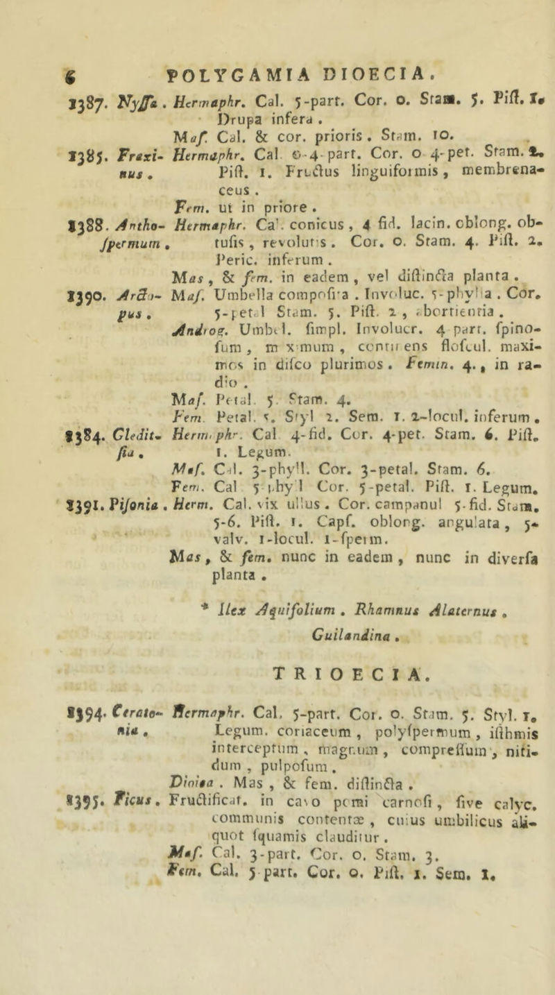 J)8j. 1385. Frtxi- nus . I3S8. /4ntho- Jptrmurn 1390. j4r3j- pua . 1391. Pijonit 1394* hU , *395‘ &gt; Hcrwtiphr, Cal. 5“p3rf* Cor. O. Sr2S« J. Pif7« X« brupa infera . Ma/ Cal. &amp; cor. prioris. Stain. »o. Hermitphr, Cal o-4 p3rr. Cor. o 4P®^‘ Sram. 5.* Pift. I. Frudus linguifonnis, membrcna- ceus . Frm. ut in priore . • Htrm^phr. Ca’. conicus , 4 fifl. lacin. cblong. ob- , rufis, revoluris . Cor, o. Sram. 4. Pift. 2. J*eric. inferum . Mar, &amp; fem. in eadem , vel iliftincfra planta . Ma/. Umbella compofra . Invfduc. s-pbyl a . Cor, 5-fetcl Stam. 5. Pift. 2, .bortienria. jindio^. UmbtI. fimpl. Involucr. 4 parr. fplno- fum , m x'mum , ccnru ens floftul. maxi- mos in difco plurimos, femin. 4., in ra- dio . Mfl/. Pf jdl. 5. fram. 4. Ftm Petal. s, S'yl 2. Sera. t. 2-lociil. inferum, Henn.phr. Cal 4-fid. Cor. 4-pet. Sram. 4. Pift, I. Le^um. ChI. 3-phyll. Cor. 3-petal. Stam. 6. Tem, Cal 5 |.hy 1 Cor. 5-petal. Pift. i. Legum, , Hcrm. Cal. vix ullus. Cor. carapanui ^-fid. Sram, 5-6, Pili. I. Capf. oblong. angulata, 5- valv. i-locul. i-fpeim. Mflj, &amp; fem, nunc in eadem , nunc in diverfa planta , * Ilex ut folium . Rhamnut Alaternus , Cuilaniina . T R I O E C I A. ffermflphr. Cal. 5-parf. Cor. o. Stam. 5, Sfyl, i. Legum, coriaceum , polyfpermum , ifthmis interceptum, magnum, comprellum , niti- dum , pulpofum. Dinisa . Mas , &amp; fem. diftinfla . Frudlificat. in caso pcmi carnofi, five calyc, communis contentce , cuius umbilicus ali- quot Iquamis clauditur. ^af. Cal. 3-part. Cor. o. Stam. 3.