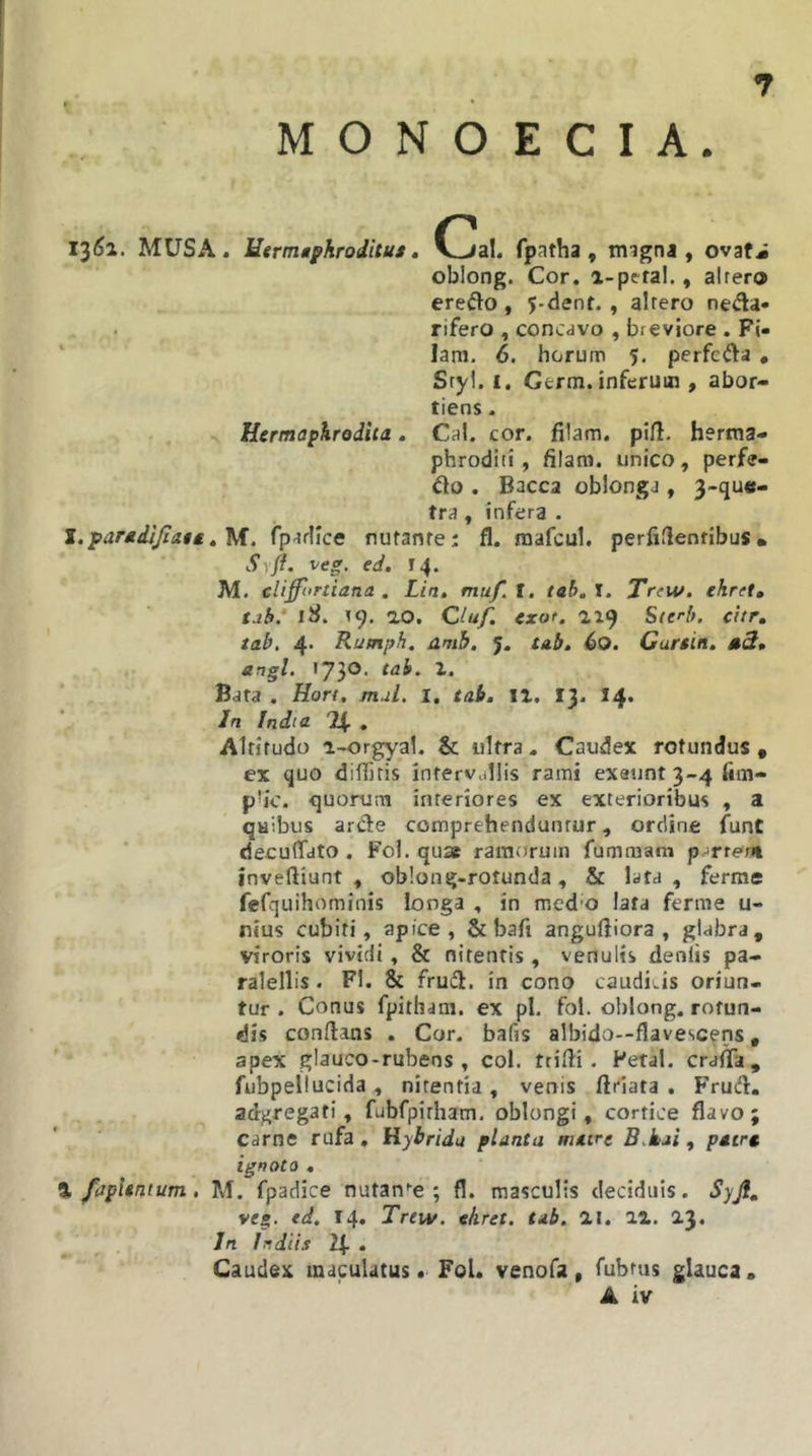 M O N O E C I A. 13^1. MUSA. Hermaphroditus, Ojal. fpatha, migna , ovati oblong. Cor. i-pefal., alrero eredo, 5-dent. , alrero neda* rifero , concavo , breviore . Pi- lam. 6. horum 5. perfeda * Sryl. £. Certn. inferum , abor- tiens . Hermaphrodita, Cal. cor. filam. pifl. herma- phroditi, filam. unico, perfe- do . Bacca oblonga, 3-qu«- tra, infera . J.paradiJiaet,M. fparllce nufanfe: fl. raafcul. perfiflentibus• Syfl. ve», ed, 14. M. cliffiirtiana . Lia, muf.l. tab,J. Trtw, ekret, tah* iS, 19. ao. Ciaf. exot, a 19 Stei-b. citr, tab, 4* Runph. amb, 5. tab, 60. Cursin, sS, ungi. •73®’ tal). Z. Bata . Hort, mul. I. tab, 11, 13. I4. In India 24 • Alrifudo i-orgyal. &amp; ultra. Caudex rotundus • ex quo diflitis inrervdllis rami exaiint 3-4 fim- pbc. quorum interiores ex exterioribus , a quibus arde comprehenduntur, ordine funt decuflfato , F0I. qua ramorum fumraam p.^rteru inveftiunt , oblong-rotunda, &amp; lata, ferrae fefquihominis longa , in med’0 lata ferme u- nius cubiti, apice, &amp; bafi anguftiora , glabra, viroris vividi, &amp; nitentis , venulis deniis pa- ralellis. Fl. &amp; frud. in cono caudi Js oriun- tur . Conus fpitham. ex pl. fol. olrlong. rotun- dis conflans . Cor. bafis albido—flavescens, apex glauco-rubens , coi. ttifli . Petal. crafla, fubpellucida , nitentia , venis ftriata . Frud. adgregati, fubfpitham. oblongi, cortice flavo; carne rufa. Hybrida planta matre B.kai., patra ignoto , % faphntum, M, fpadice nutan''e ; fl. masculis deciduis. Syfi, veg. ed, 14. Trtw. ehret. tab. ai. 11. 2.3. In ludiis 24 . Caudex maculatus • Fol. venofa , fubrus glauca .