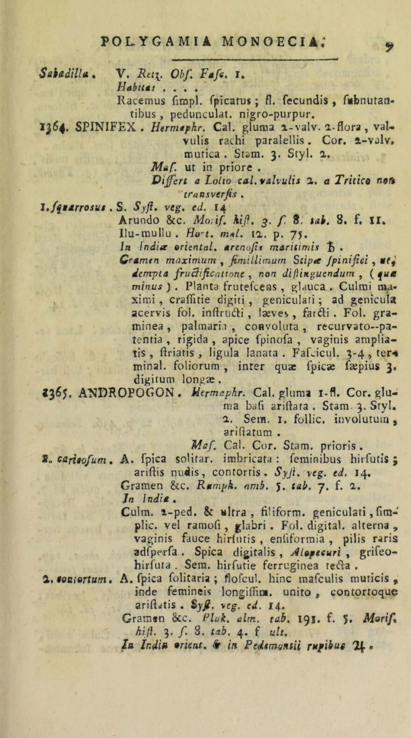 5^ Sihadillu. V. Rtt\. Obf. Ftfe, i, Hdbitti .... Racemus fimpl. fpicarus; fl. fecundis, fubnutan- tibus, pedunculat. nigro-purpur. 1364* SPINIFEX . Hermtphr. Cal. gluma i-valv. a-flora , val- vulis rachi paralellis. Cor. a-valv» mutica . Stam. 3. Styl. a, Maf. ut in priore . Differt a Lolio cal, valvulis a. o Tritico nork traasverjis . J,ffMtrrosut. S. Syfl. veg. ed. 14 Arundo &amp;c. Ma;if. kiji. 5. f. 8. tah, 8. f. II. Ilu-mullu . Ho^t. mml. la. p. 7j. Ja India eriental. arenojis maritimis ^ . Gramtn maximum , fimillimum Stipa /pinifici , «f,' dempta fru3ificatione , non di (Unguendum ^ minus ) . Planta frutefceas , glauca . Culmi ma- ximi , cralTitie digiti , geniculati; ad genicula acervis fol. inftriidi, Iseves, fardi . Fol. gra- minea , palmaria , convoluta , recurvato—pa- tentia , rigida , apice fpinofa , vaginis amplia- tis , ftriatis , ligula lanata . Fafcicul. 3-4 , ter-4 minal, foliorum , inter quae fpicse fWpius 3. digitum longae. 13^5* ANDROPOGON . Uermaphr. Cal. gluma l-fl. Cor. glu- ma bafi ariftata . Stam. 3. Styl. 1, Sem. 1. follic. involutum, arifiatum . Maf. Cal. Cor. Stam. prioris . ioCariaofum» A. fpica soHtar. imbricata: feminibus hirfutis; ariftis nudis, contortis. Syji. veg. ed. 14. Gramen &amp;c. Rumph. amb. 5. tab. 7. f. a, Jn Indit, Culm. i-ped. &amp; ultra, filiform. geniculati, fim- plic. vel ramofi, glabri . Fol. digital. alterna , vaginis fauce hirlutis , enfiforraia , pilis raris adfperfa . Spica digitalis , AUptcuri , grifeo- hirfuta . Sera, hirfutie ferruginea teda . i, toaiartum, A. fpica folitaria ; flofcul. hinc mafculis muticis, inde femineis longiffim. unito, contortoque ariftdtis . $yfi, veg. ed. 14. Gramen 8cc. Fluk. alm. tab. 191. f. 5» Morif* hijL 3. f. 8. tab, 4. f ult. Ia ir.dift orieat. ^ in Fedtmyntii rupibus H. •