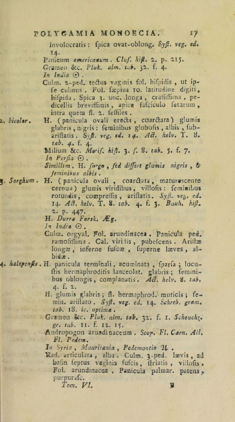 involocratis: fpica ovat-oblong. Syfi. veg. ed* Panicum emericanum . Cluf. hi^. 1. p. -15» Gramen &amp;c. ?luk. alm. h.k. ^1. f. 4. In India 0 . Culm. a-pci!. tedus vaginis fol. hifpidis , ut ip- le culmus . Fol. faepius 10, latirudine digiti, hifpidd . Spica T,. unc. longa , crairiffima , pe- dicellis breviflirais, apice fafciculo fetarum, intra quem fl. a, fefliles . i. hicoUr» H. (panicula ovali ereda , coardata) glumis glabris, nigris: feminibus globofis, albis , fub- ariftatis . Syjt. veg, ed. i A3. helv, T. S. tab, f. 4. Milium &amp;c. Marif. hiji. 3. f. 8. tab. 5, f. 7. In FerJIa 0 . Similltm . H. fn^go , fti difftrt glumis nigris , S' Jtminibus albis . 3. Sorghum, H. (panicula ovali , coardata, maturescente cernua) glumis viridibus, villofis: feminibus rotundis, comprelfis ^ ariftatis. Sy_ft. veg. ed, 14. A&amp;. helv, T. 8. tab, 4. f. 3. Bauh, At/7, a. p. 447. H. Durra Fersk, JEg, In India © . Cuira. orgyal. Fol. arundinacea . Panicula ped. ramofiflima . Cal. viri.lis , pubefcens . Ariliac longas, inferne fufcae , fuperne laeves, al- bidae . 4. hilepen^s, H. panicula terminali, acuminata , fparfa ; locu- dis hermaphroditis lanceolat. glabris; femini- bus oblongis, complanatis. A3, helv, 8. tab, 4. f. 2.. H. glumis glabris; fl. hermaphrod. muticis; fe- rain. ariftdfo . Syfl, veg. ed. 14. Schreb. grani, tab. 18. ic, optima. Gramen &amp;:c. Pluk. alm. tab, 31. f. i. Scheuck\, gr. tab. tl. f. II. 15. Andropogon aruadioaceum . Scop. Fl. Carn. Ali, Fl. Pedem. In Syria , Mauritania , Pedemontio , IRad. articulata , alba . Culm. 3-ped. laevis, ad bcifin feptus vaginis fufcis, llriatis , villofis. Fol. arundinacea , Panicula paltnar. patens, purpurafc. Tom, Vi, tl