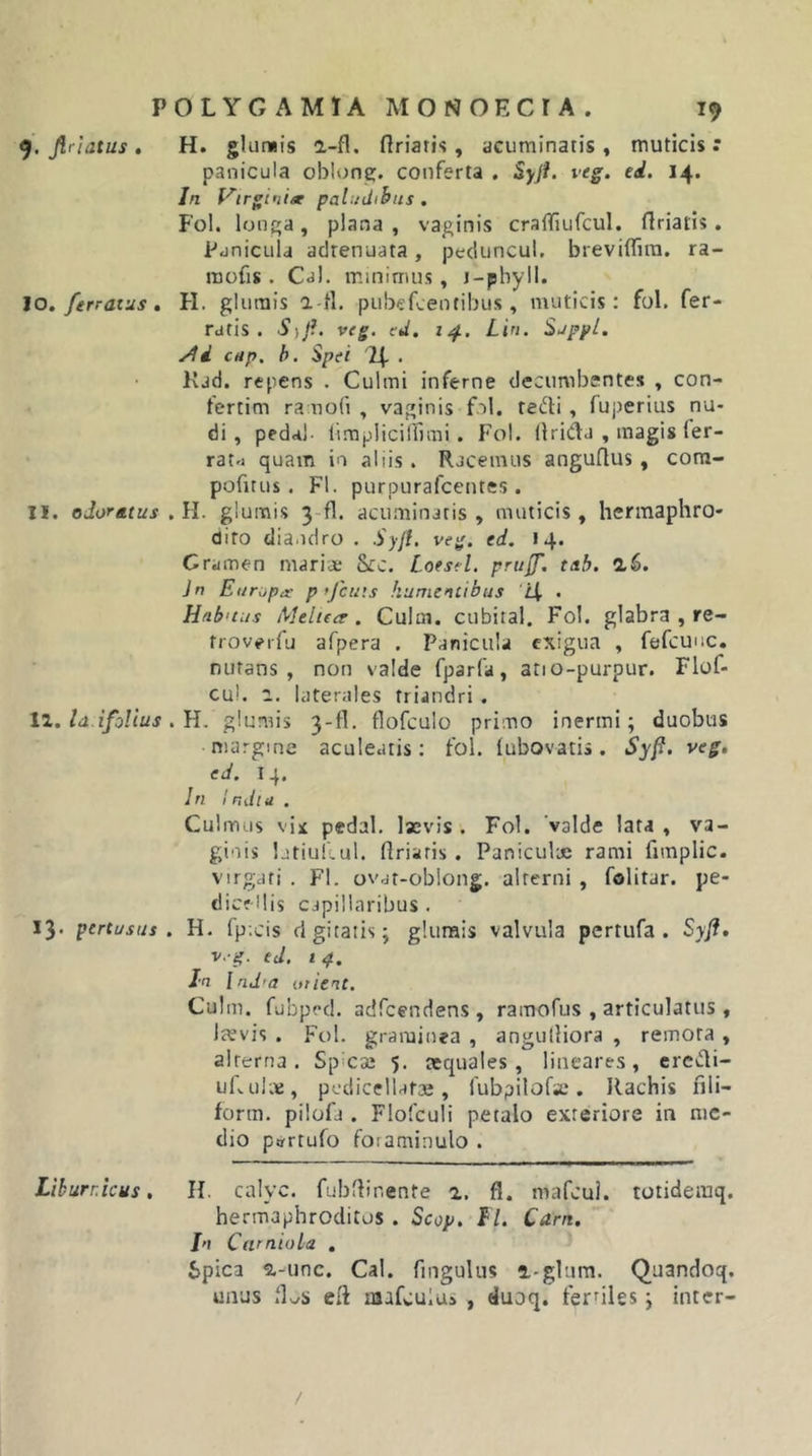 Jlriatus , H. glumis a-fl. ftriatis, acuminatis, muticis r panicula oblonc. conferta . Syji. veg. ed. 14. In Virginist paludibus . Fol. lonp;a, plana , vaginis cratTiufcul. flriatis. Panicula adrenuata, peduncul, breviflira. ra- raofis. Cdl. minimus, i-pbyll. 10. ferratus, H. glumis a tl, pubefcentibus, muticis: fol. fer- ratis. S)f. veg. ed. lif.. Lin. Suppi. cHp. h. Spei 24. . Kdd. repens . Culmi inferne decumbentes , con- fertim ra nofi , vaginis fol. tedi, fuperius nu- di , pedal- limplicillnni. Fol. (Irida , magis fer- rat.j quam in aliis. Racemus anguflus, cora- pofitus . FI. purpurafcentes . 11. odoratus . H. glumis 3-fl. acuminatis , muticis, hermaphro- dito diandro . Syjl. veg. ed. 14. Gramen maria; 8cc. Loesel. prujf. tab. a6. Jn Europae p &gt;fcuts humentibus ‘iX . Habitus Melierr. Culm. cubital. Fol. glabra , re- troveiTu afpera . Panicula exigua , fefcuuc. nutans, non valde fparfa, atio-purpur. Flof- cul. 1. laterales triandri . iz. la.ifolius. }i. glumis 3-fl. fliorculo primo inermi; duobus margine aculeatis: fol. (ubovatis. Syf. veg. ed. 14. Jn I ndlu . Culmus vii pedal. laevis. Fol. 'valde lata, va- ginis latiullul. ftriatis . Paniculae rami fimplic. virgati . FI. ovat-oblong. alterni , folitar. pe- dicfUis capillaribus. 13* pertusus. H. fp.cis d gitaiis; glumis valvula pertufa . Syfl. v.-g. ed. i 4. Jn lnd’a utient. Culm. fubprd. adfcendens , ramofus , articulatus , IcVvis . Fol. graminea , anguftiora , remota , alterna. Speae 5. aequales, lineares, ercvli- uLuim, pedicellafce, fubpilofa;. Rachis fili- form. pilofa . Flofculi petalo exteriore in me- dio p»rtufo foiaminulo . Liburnicus, H. calyc. fubftir.ente a. fl. mafeui. totideraq. hermaphroditos . Scop. Fl. Carn. Jn Carniola , Spica a-unc. Cal. fingulus i-glum. Quandoq. unus eft mafculu» , duoq. fernies; inter- /