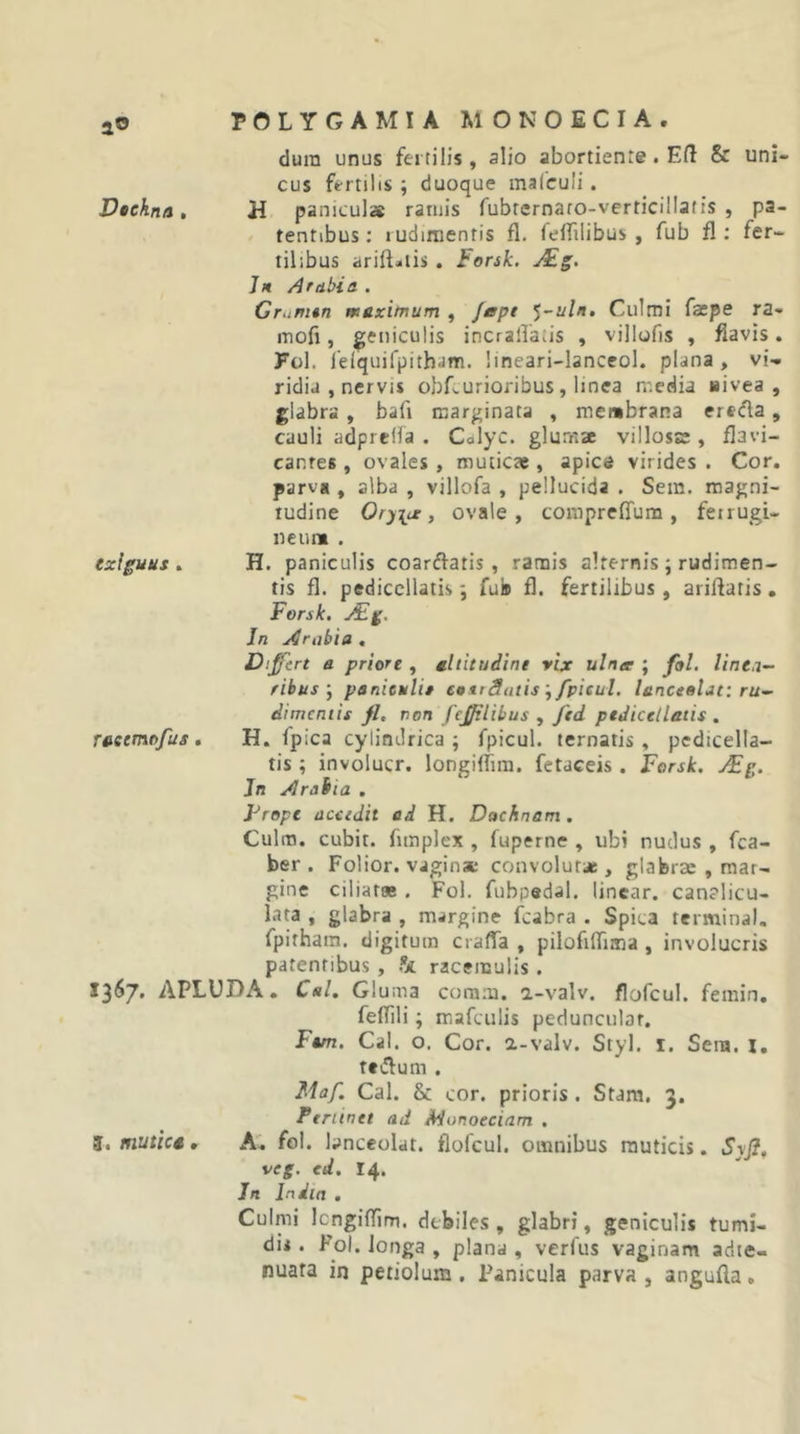 ao Vtekna , dura unus fertilis, alio abortiente. E(1 &amp; uni- cus fertilis ; duoque maCcuIi. H paniculae ramis fubternaro-verticillafis , pa- tentibus; rudimentis fl. (effilibus , fub fl; fer- tilibus ariftalis . Forsk. Jh /Arabia . Grumtn muxitnum , fept Culmi faspe ra- mofi, geniculis incralTatis , villofis , flavis. Fol. felquifpitham. lineari-lanceol. plana, vi- ridia , nervis obLurioribus, linea rnedia nivea, glabra, bafi marginata , membrana ereda, cauli adprella . Calyc. glumsc villose , flavi- canres , ovales, muticae, apice virides . Cor, parva , alba , villofa , pellucida . Sein. magni- tudine Oryia , ovale , corapreffura , ferrugi- ne mm . exiguus. H. paniculis coarflatis , ramis alternis; rudimen- tis fl. pediccilatis; fu» fl. fertilibus, arilfatis . Forsk, JEg. In j^rabia , raeemofus. Differt a priore , uliitudine vix ulna ; foL linea- ribus ^ psnieulit eottdatis \fpieul. lenceolat: ru- dimentis fl, non feffilibus , ftd ptJicelletis , H. fpica cylindrica ; fpicul. ternatis , pcdicella- tis ; involucr. longifiim. fetaceis . Forsk, JEg, Jn JIraiia . Frepe accedit ad H. Dachnam . Culm. cubit. funplex , fuperne , ubi nudus , fca- ber . Folior. vaginae convolur* , glabrae , mar- gine ciliatae . Fol. fubpedal. linear. canalicu- lata , glabra , margine fcabra . Spica terminal. fpithara. digitum craffa , pilofilTima , involucris patentibus, .“k raceraulis. 13*^7' APLUDA. CaU Gluma com:u. a-valv. flofcul. femin. I. mutice. fefllli; mafculis pedunciilar. Fum, Cal. o. Cor. a-valv. Styl. i. Sera, i, teiflum . Maf. Cal. &amp; cor. prioris. Stam, 3. Pertinet ad Monoecinm , A', fol. bnceolat. flofcul. omnibus rauticis. Syfl^ veg. cd, 14. In India . Culmi IcngiflTim. debiles, glabri, geniculis tumi- dis . Fol. longa , plana , verfus vaginam adte- nuata in petiolum, Panicula parva , angufla,