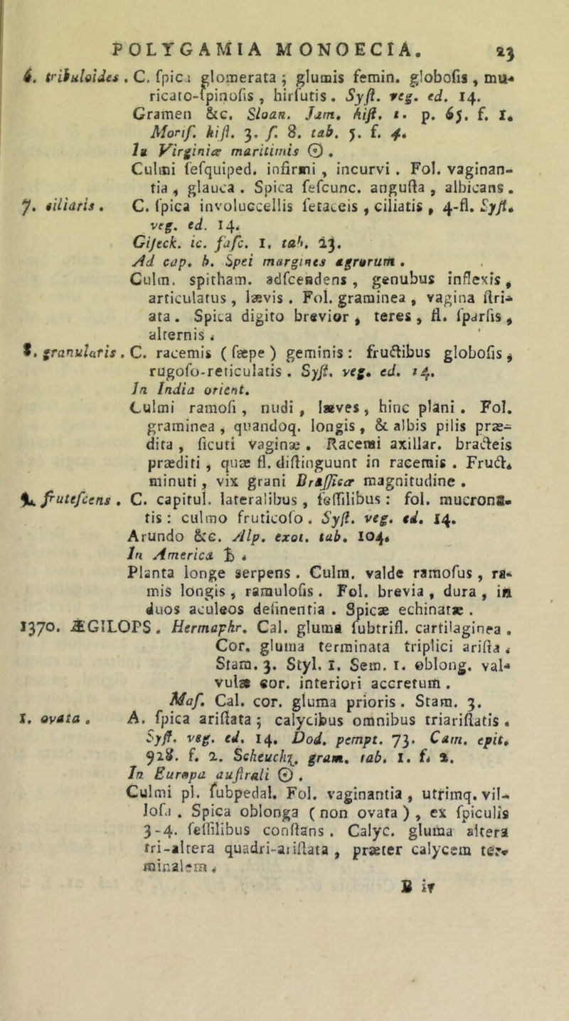 6. fiiuloldei , C. fpici glomerata ; glumis femin. globofis , mu-* ricato-ipinofis , hirfutis. Syft. veg. ed. 14. Gramen &amp;c, Sloan. Jjm. hift, t. p. f. I* Morif. kifl. 3. 8. tab. 5. f. 1b Virginia maritimis 0 , Culmi fefquiped. infirmi , incurvi . Fol. vaglnan- tia f glauca . Spica fefcunc. angufta , albicans, 7. tiliaris, C. (pica involucceilis fetaceis , ciliatis , 4-fl. veg. ed. I4&lt; Gijeck. ic. fafc. I, rfl'». 23. y4d cap. b. Spei margines agmrum . Cultn. spitham. adfceadens , genubus inflexis * articulatus, laevis . Fol. graminea , vagina firi-» ata . Spica digito brevior ^ teres , fi. iparfis , alternis &lt; t. granularis, C. racemis ( fsepe ) geminis: fruflibus globofis^ rugofo-reticulatis. Syji. veg, ed. /4, Jn India orUnt. Culmi ramofi , nudi , !»ve$, hinc plani . Fol. graminea, quandoq. longis, &amp; albis pilis prae- dita , ficuti vaginae. Racenai axillar. bra^fleis pra:diri, quae fi. difiinguunt in racemis . FrudV* minuti, vix grani BrtJJiea magnitudine . %. Jrutefcens , C. capitul. lateralibus, lefTilibus: fol, mucrona. tis: culmo fruticofo . Syjl. veg, ed. 14. Arundo &amp;c. yllp. exoi. tab, 104« In America i) . Planta longe serpens . Culra. valde raraofus, ra&lt;* mis longis, ramulofis. Fol. brevia , dura , in «luos aculeos delinentia . Spicx echinatx . 1370* -SGILOPS. Hermapkr. Cal. glutni (ubtrifl. cartilaginea . Cor. gluma terminata triplici arifia &lt; Starn. 3. Styl, l. Sem. i. ©blong. val-» vulse eor. interiori accretum. Maf, Cal. cor. gluma prioris. Stam. 3. I, ovata, A. fpiea arifiata; calycibus omnibus triarifiatis . iyff. veg. ed, 14. Dod. pempt. 73. Carri, epit, 918. f, a. Seheuch[, gram, tab, I. ft %. In Eurnpa aujlrali 0 . Culmi pl. fubpedal. Fol. vaginantia , utrimq. viU lofi . Spica oblonga ( non ovata ) , ex fpiculis 3-4. feirilibus conflans. Calyc. gluma altera rri-alrera quadri-aiifiaia , praeter calycem ter* minalem &lt; B ir