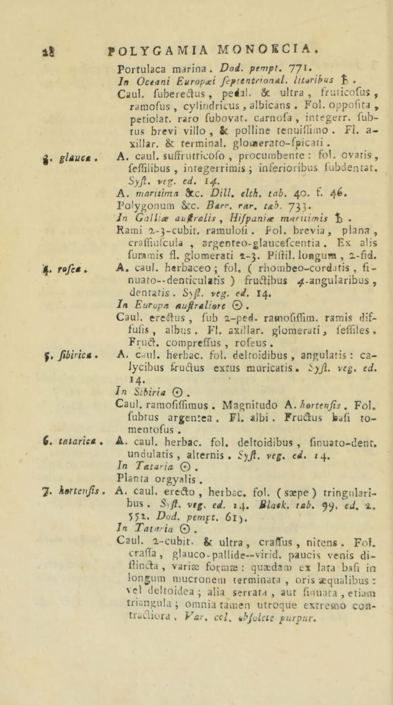 g. gUuct.. refe*. f. Jihirict. 6, taiariea.. 7. k»TtetiJis, Portulaca marina. Dod. pempt. l'J\. In Oceani Europxi fipientoonal. litaribus . Caul. fuberedliis , peiljl. 8c ultra , fruiicofus , ramofus , cylindricus, albicans . Fol. oppofita , petiolat, raro fubovar. carnofa , integerr. fub- rus brevi villo , &amp; polline tenuifiimo . Fl. a- xillar, &amp; terminal. glomerato-fpicati. A. caul. suffrutticofo , procumbente: fol. ovaris, felTilibus , integerrimis; inferioribus lubdeatat. Syjl, v&lt;st. cd. A. maritima Stc. Dill. elth. tab. 40. f. ^6, Polygonum &amp;:c. Barr. rar. ta.b. 733. Jn CalliiT auftraLis , Hi/panite mnntimis 1) . Rami a-3-cubir. ramuloli . Pol. brevia, plana, crafliulcuia , argenteo-glaucefcentia. Ex alis fummis fl. glomerati 1-3. Pilfil. longum , a-fid. A. caul. herbaceo; fol. ( rhombeo-cordjtis , fi- nuafo--denriculatis ) frudibus .^-angularibus, dentatis . Sj/f. veg. ei. 14. In Europa auj^ralisre © . Caul. eredfus , fub a-ped. ramofifnm. ramis dif- fufis, albus. P'l. axillar. glomerati, leffiles. Frud. comprefTus , rofeus. A. c-iul. herbae, fol. deltoidibus, angulatis: ca- lycibus frudus extus muricatis, veg, ed. T . . In Sibiria 0 . Caul. ramofifliraus . Magnitudo K.hortenjis, Fol. fubtus argentea . Fl. albi . Frudus to- men tofus . A, caul. herbae, fol. deltoidibus , fmuato-dent, undulatis, alternis. Syji. veg. ed. »4. In Tataria © , Planta orgyalis . A. caul. eredo , herbae, fol. (saepe) tringulari- bus . S^fi. vtg, ed. 14. Black, tab. 99. ed. -i. 55i* Dod. penift, 6l). In Tatnria © . Caul. i-cubit. &amp; ultra , cralTus , nitens . Fol. crafTa , glauco-pallidc—virid. paucis venis di- Hinda , varias formae : quadam ex lata bsfr in longum mucronem terminata , oris aequalibus : sci deltoidea; alia serrata, aut fumata , etimn triangula ; omnia tamen utroque extremo con- tindiora . Var, ccl. ubjulcie purpur.