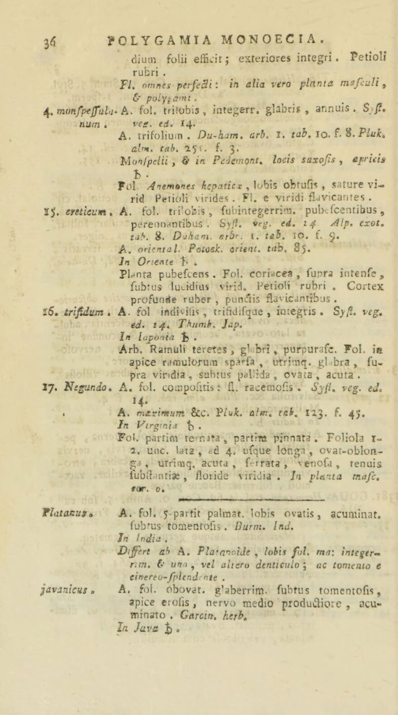 dium folii effiL-it; exteriores integri. Petioli rubri . T'!, omnes perfediin alia vtro plnnta mafculi, &amp; poiy^&amp;mi . monfpejjfalu-A. fol, trifobis , integerr. glabris, annuis. S/?. num . ves. ei. 14. A. trifolium . Du~k,jm. arh, I. toh, lo. f- al'n. tah. a5f. f. 3. Monipelii y Si in Pedemont, locis stixojis , cprids Fol Anemones hepaticx , lobis obfufi? , sature vi— rid Petioli virides . FI. e viridi fldvicarites . eretle^sm, A. fol. tri’obis, fubintegerrim. pubcfcentibus, perennantibus. Sj/?. veg, ed. 14 Alp, exot, tjf'. Duhani. erbr. t. tsb, lO. f. A. oriental. PotosJc. orum. tab. 85. ]n Ofiente . Planta pubefcens. Fol. coriacea, fupra intenfe, fubrus luuidius virid, Petioli rubri . Cortex profunde ruber , puniTtis flavicantibus . l5. trijidum , A. fol indivilis, trifidifque , integris. Sy/i. veg, ed. 14. Thumh. Jap, In laponin Fi . Arb. Ramuli teretes , glabri, purpurafc. Fol. iia apice rarauloruixi sp.^^-fa , utrimq. gldbra , fu- pra viridia, subtus pallida, ovata, acuta. 17. Negundo» A. fol. compofitis: fi. racemofis . Syp, veg. ed, 14. I A. maximum Scc. Viuk. alm, tah. 123. f. 45, In Virgtnta . Fol. portitn tcT.Jta, partire pinnata. Foliola r- i. une. lata , ad 4. ufque longn , ovat-oblon- ga, utriinq. acuta, ferrata, ^enofa, tenuis lubiiantise, floiide viridia. In pUma mafc, tar. 0, Flatacasn A. fol. J-partit palmat, lobis ovatis, acuminat, fubrus tomentofis. Durm. InJ. Jn India . Diff^ert ah A. FlarnnoiJe , lobis fui. ma: integer- r:m. &amp; uno ^ vel altero denticulo j ac tomento e cinereu-fplendtnie . javanicus, A. fol. obovar. g’aberrim. fubtus tomentofis, apice crolis, nervo medio produt^iore , acu- minato . Garcirt, herh. In. Java .