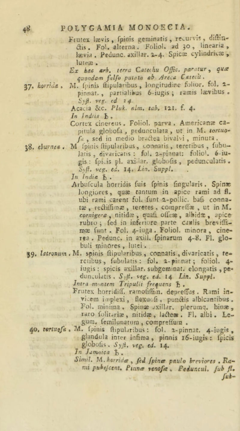 4^ Fiutex laevis, fpinis j^erainatis, rcs-urvis, diflin- dis. Fo!. alrerna. Foliol. ad 30, linearia, laevia . Pedunc. axillar. i-4- Spicae cylindricae , luteae . Ex kac *rht terra Catethu Offic, paratur, qua quondam fnlfo putata ab ^reca Catecu. 37. horrida . jM. Ipinis ftipularibus, longitudine folior. fol. 2,- pinnat, , pariialiiius 6-iugis ; ramis laevibus . Syji. vep. ed trf.. Acacia &amp;c. Fluk. alm. tah. I2I. f. 4* In Indus I) . Cortex cinereus, Foliol. parva . Americanae ca- pitula globofa , pedunculata , ut in M. tortuo- fa , sed in medio bradea bivalvi, minuta. 38. eburnea , M Ipiuis ftipularibus , connatis , teretibus , fubu- latis , divaricans : fol. 2-pinnat; folio*. 6-iu- gis : fpi^is pl. axiliar. globofis, peduncularis. S\fi. veg. ed. 14. Lin. Suppi, J/« India, t) . Arbiifcula horridis fuis fpinis fmgularis. Spinae longiores, quae tantum in apice rami ad fl. ubi rami carent fol. funt a-pollic. bafr conna- tae , redilliinae, teretes, comprelTae , ut in M. cornigera , nitidae , quafi. oifeae , albidae, apice rubro; fed in inferiore parte caulis bresiffi- mae funt . Fol. 4-iuga. Foliol. minora , cine- rea . Pedunc. in axill. fpinarum 4-8. Fl. glo- buli minOres , luici. 59, latronum. .M, spinis llipularibus , connatis , divaricatis , te- retibus, fubulatis: fol. a-pinnat; foliol. 4- iugis ; spicis axillar. subgeminat. elongatis , pe« dun^ulatis. S)ii. veg, eU. 14 Lin, Suppi, Intra montem TripuUi frequens F , Frutex horridilf. ramoliffim. deprelTus. Rami in- vi-:em iiitplexi, flexuofi, pundis albicantibus , Fol. minima. Spinae jxilldr. pleruraq. binae, raro folit-riae , nitid» , lade» . Fl, albi. Le- gum. femilunatutu, comprefluin . 40, tortuefa, M. fpinis ftipularibus: fol. i-pinnat. 4-iogi5 , glandula inter infima , pinnis l6-iugis: fpicis globofis. Syji. veg. ed. 14. Jn ] amate a F . Simii. M. horrida y fed fpina paulo breviores , Ra- mi puhejcent, Fiiina venofa, Peduncul. /ub fl, fui-