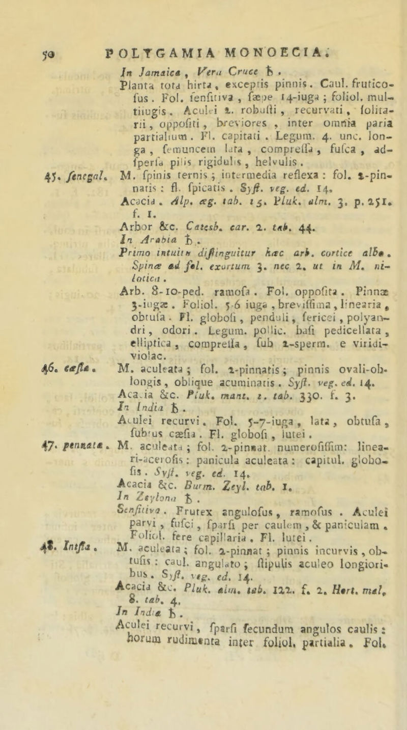 In Jamaie* , Keru Cruce , Planta rora hirta, exceptis pinnis. Caul. frutico- fus . Fol. lenfitiva , faepe 14-iuga ; foliol. mul- tiiugis. Acuiri 1. robulH , recurv'ati, (olira- rii, oppofiti, breviores , inter omnia paria partialium. FI. capitati . Legum. 4. unc. lon- ga , femuncein lata , comprella , fulca , ad- fperfd pilis rigidulis , helvulis . 45. /enegah M. fpinis ternis; intermedia reflexa: fol. t-pin- naris : fl. fpicatis . Syfi. veg. ed. 14. Acacia, eilp, ag. tab. 15. VLuk, ulm. 3, p. 151. f. I. Arbor &amp;:c. Catesb. car. 1. tnh. 44. In Arabia . Primo intuitu dijiinguitur hac arh. cortice alBa, Spina ad ftl. exartum 3. nec 2, ut in M. ni- lotica . Arb. 8-io-ped. ramofa . Fol. oppofita . Pinnae 5-itig3e. Foliol. 5-6 iuga , brevilfima , linearia , obtula . Fl. globoli, penduli, fericei , polyaiv- dri, odori. Legum, pollic. bafi pedicellara , elliptica, comprella, fub i-sperra. e viridi- violac. 46. €ajta, M. aculeata; fol. a-pinnatis; pinnis ovali-ob- iongis, oblique acuminatis. Syjl. veg.ed.i^. AcaJa Scc. Piuk, mant, t, tab. 330. i. 3. In India . Aculei recurvi. Fol. 5-7-iuga , lata , obtufa , fubrus casfia. Fl. globofi, lutei. 47* F*r2ii&lt;i/e. M. aculeatd ; fol. 2-pinBdt. numerofiffim: linea- ri-acei ofis; panicula aculeata : capitul. globo- fis . Syji, reg. ed. 14, Acacia 8vC. Burm, Zeyl. tab, i. In Ztyionn Jj . Stnjiiiva. Frutex «ngulofus, ramofus . Aculei parvi , fufei, fparfr per caulem , &amp; paniculam . m f M Folicd. fere capillaria . Fl. lutei. 4«* Intjia , M. aculeata ; fol. a,-pinnar ; pinnis incurvis , ob- tufis : caul. angubto; flipulis aculeo longiori- bus. Syji, \tg, ed, 14. Acacia &amp;c. Pluk. ahn, tab, 121. f, 2, Hart, mal, e. tab, 4, In India F . Aculei recurvi, fparfi fecundum angulos caulis: horum rudimtnta inter foliol, partialia, FoU