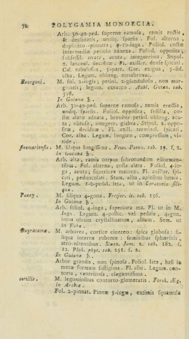 5*. Arb. 30'40-ped. fupcrne rjmofa , ramis re^^is , fe declinatis, undiq. fparlis . Fol. alterna , dtiplicaio-pinnara ; f-io-iuga . Foliol. coilas intermediae petiolo adnexa . Foliol. oppofita , fubrelfil. ovata, acuta, integerrima. Sripul. 2.. lanceol. deciduae. Fi. axill..r. denfe Ipicari . Cal, fubu&lt;of..s, 5-parf. Cor. exigua, 5-fid. alba. Legum, oblong. meiabranac. Stiurgoni, M. fol. 2-iugis ; petiol. a-giandulofis , non Mar- ginatis; legum, exsucco, ^ub/. Guitn, tak. 35H. Jn Gniana . Arb. 3'&gt;4o-ped. fuperne ramofa , ramis eredis , Kiidiq. fpdrlis. Foliol. oppoiita , feflllia , co- fjge alatae adnata , breviter petiol. oblong. acu- ta , obtufa , integerr. glabra . Sripul. a. oppo- fnac, deciduae . Fl. axill. terminal. Ipicati. Cor. alba . Lcguia. longum , compreffum , vi- ride . /neniarienjis. M. filiqua longiffima . Few. Perou. tah. i^, f. a, Ja iruianj. . Arb. alta , ramis corpus fubrotundurn efforsoan- tibus . Fol. alterna, cofta alata. Foliol. 4-iu- ga , acuta ; fuperiora maiora . Fl, axillar. fpi- Cdti, pedunculari. Stara. alba , apicibus lutsis . Legum, i-i-pedal. lata , ut in Cerutonia Jili- qua . Faeey i. M, liliqua 4-gona . Frciier. it. tab. l')6. In Guiana Ji . ^Arb. foliol. 4-iuga , fuperiora ma. Fl. ut in M. Legum. 4-pollic. vel pedale, 4-gon. intus oleum cryliallizatum, album. Sem. ut in Faha . fiuyratamd, M. arborea, cortice cinereo: fpica globofa : fi- liqua interne rubente ; feminibus fphiericis , atro-nitentibus. Slsnn. Jam. a. tab, f, 11. Pluk. pfiyt. tab. ajl. f. i. In Guiana js , Arbor grandis , non fpinofa . Foliol. lata , bafi ia metae formam fafigiata . Fl. albi. Legum, cen- torra , ventricofa , clegantiffiina . tortilis, M. leguminibus contorto-glomeratis . Forsk.jEg^ In Arabia . Fol. a-pinnat. Pinu* J-iug», extimis fquamula