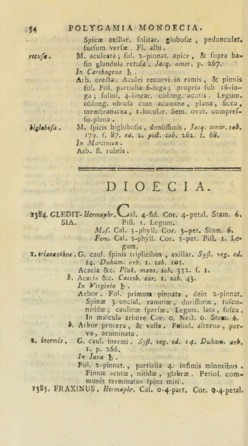 Spica axillar. folitar. jiobofse , peduncufat* furfum verfae . FI. albi. rUuft» M. aculeata; fol. i-piunat. apice, Se fupra ba- fin glandula retufa . Jacq, amer. p. 267. Jn Carikagena |) , Arb. eredla. Aculei recurvi in ramis, &amp; pinnis fol. Fol. partialia 6-iuga ; propria (ub 16-iu- ga ; foliol. 4-linear. oblong. acutis . Legum, oblong. cbrula cum acumine, plana, beca, membranacea, i-locular. Scm. ovat, compref- lo-plana . ilghhefa . M. fpicis biglobofis , denfiirimis . Jacq. amer, tab, 179, f. 87. ed. 2. jtid. tab. 262. 68. In Miiriinica . Arb. fl. rubris . D I O E C I A. 1384, GLEDIT-Hcrm«j»Ar. v_aal. 4-fid. Cor. 4-petal. Stain. 6. SIA. Pift. I. Legum. Mjf. Cal. 3-phyll. Cor. 3-pet. Stam. 6. Fem. Cai. T-phyll. Cor. 5-pet. Pift, i. Le« Jt iriaetnthos, G. caul. fpinis triplicibus , axillar. Syjl, veg, ed, 14. Dukam, crb. I. tab. 105. Acacia &amp;c. Pluk. mant. tab. 351. f. I. h. Acacia &amp;c. Catesb, ear. I, tab. 43. In Virginia . Arbor. Fol. primum pinnata , dein a-pinnat. Spinas 3-unciaI. ramosae, duriflimae, tufeo- niridae ; caulinae fparfae. Legum, lata, fufea . In mafcula arbore Cor. o. Necft. o. Stam. 6. h. Arbor procera , &amp; vafta. F®liol. alterna , par- va , acuminata . 1. inermis, G. caul. inermi. Syfi, veg. td, 24. Duham, arb, I. p. 266. In lava . Fol. i-pinnat. , partialia 4. infimis minoribus • Pinnae acutm , nitidae , glabrae . Petiol, com- munis terminatuc Ipina miti . 1335* FRAXINUS, Hermaphr, Cal, 0-4-part, Cor. Qt-4-petal.