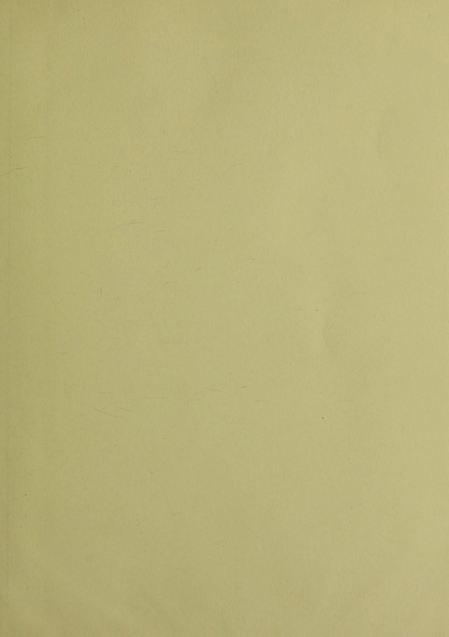 digitised image 3