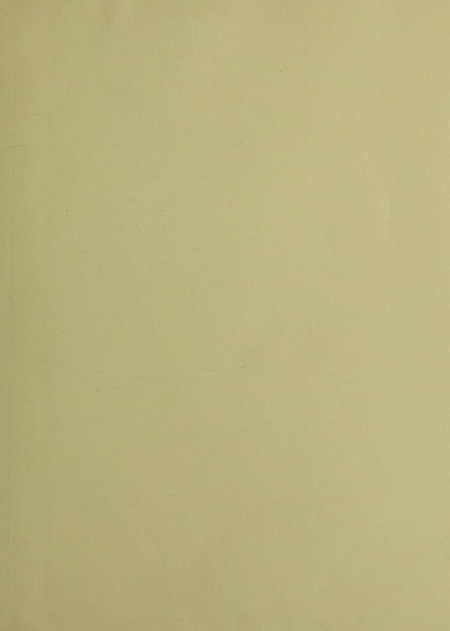 digitised image 3