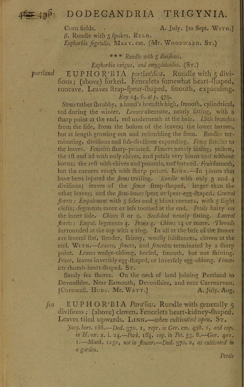 Cornfields. • A. July, [to Sept. With.] (d. Rundle with 5 fpokes. Relh. Euphorbia fegetalis. Mart. cat. (Mr. Woodward. St.) ** * Rundle with 5 divifions. Euphorbia exigua, aniamygdaloid.es. (St.) portiand EUPHOR'BIA portlan'dica. Rundle with 5 divi- fions ; (above) forked. Fencelets fomewhat heart-fhaped, concave. Leaves flrap-fpear-fhaped, fmooth, expanding. Ray 24. 6. at p. 479. Stems rather fhrubby, ahand’s breadth high, fmooth, cylindrical, red during the winter. Leaves-alternate, nearly fitting, with a fharp point at the end, red underneath at the bale. Little branches from the fide, from the bofom of the leaves; the lower barren, but at length growing out and refembling the ftem. Rundles ter- minating, divifions and fub-divifions expanding. Fence fimilar to the leaves. Fencelets fharp-pointed. Flowers nearly fitting, yellow', the 1 ft and 2d with only chives, and petals very blunt and without horns; the reft with chives and pointals, and'horned. Fra f fmooth, but the corners rough with fharp points. Linn.—In plants that have been injured the Jlems trailing. Rundle with only 3 and 4 divifions; leaves of the fence ftrap-fhaped, larger than the other leaves; and the Jlem-leavesfpear or fpear-egg-fhaped. Central ferrets: Empalement with 5 fides and 5 blunt corners, with 5 flight clefts; .fegtnents more or lefs toothed at the end. Petals hairy on the inner fide. Chives 8 or g. Seed-bud nearly fitting. Lateral florets: Empal. fegtnents 4. Petals 4. Chives 14 or more. Threads furrounded at the top with a ring. In all at the bafe of the flower are feveral flat, (lender, fkinny, woolly fubftances, cloven at the end. With.—Leaves, fences, and fencelets terminated by a fharp point. Leaver wedge-oblong, keeled, fmooth, but not fnining. Fence, leaves inverfely egg-fhaped, or inverfely egg-oblong. Faice- lets rhomb-heart-fhaped. St. Sandy fea fhores. On the neck of land joining Portland to Devonfhire. Near Exmouth, Devonlhire, and near Caernarvon. [Cornwall. Huds. Mr. Watt.] A. July. Aug. fea EUPH OR'BIA Para'Iias. Rundle with generally 5 divifions ; (above) cloven. Fencelets heart-kidney-fhaped. Leaves tiled upwards. Linn.—when cultivated open. St. Jac(j. hort. 188.—Dod. 370. 1, repr. in Ger. cm. 493. i, and cop. in H. ox. x. i. 24.—Park. 184, cop. in Pet. 53. 8.—Ger. 401. 1.—Matth. 1252, not in flower.—Dod. 370. 2, as cultivated in a garden. Petals