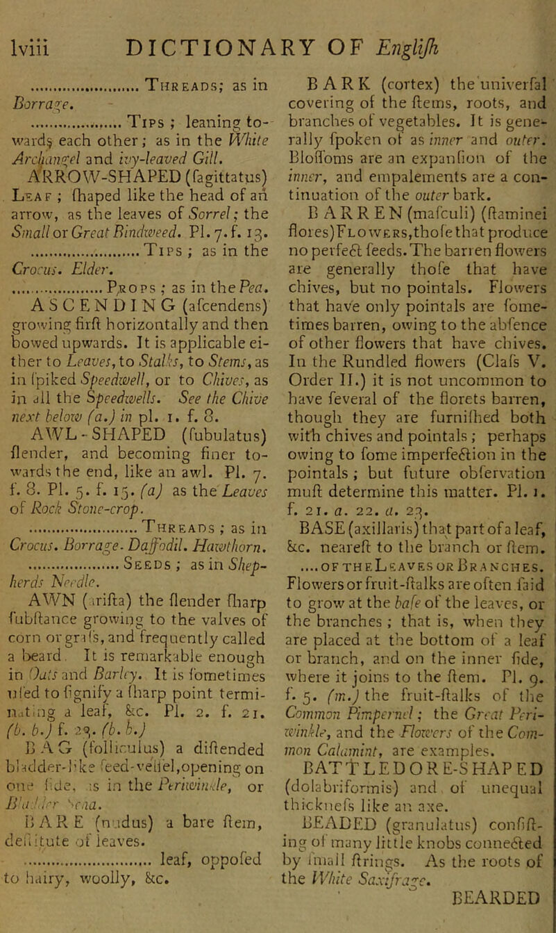 Threads; as in Dorra^e. Tips; leaning to- ward^ each other; as in the White Archanniel and ivy-leaved Gill. ARROW-SHAPED (fagittatys) Leaf ; fhaped like the head of ah arrow, as the leaves oi Sorrel; the Small or Great Bindweed. PI. 7. f. 13. Tips ; as in the Cro cus. Elder. P,RO PS ; as in the Pea. ASCENDING (afcendens) growing firfi; horizontally and then bowed upwards. It is applicable ei- ther to Leaves, to Stalks, to Stems, as in (piked Speedwell, or to Chives, as in all the Speedwells. See the Chive next belozi) (a.) in pi. i. f. 8. AWL-SHAPED (fubulatus) {lender, and becoming finer to- wards the end, like an awl. PI. 7. f. 8. PI. 5. f. 15. /'flj as \.h.t Leaves of Rock Stone-crop. Threads ; as in Crocus. Barrage. Daffodil. Hawthorn. Seeds; as in Shep- herds Needle. AWN (irifta) the (lender fliarp fubftance growing to the valves of corn orgn!s,and frequently called a l)eard. It is remarkable enough in Outs and Barley. It is fometimes nfed to fignify a (harp point termi- nating a leaf, &amp;c. PI. 2. f. 21. f(j. b.J f. 20^. (b. h.) IjAG (foliiculus) a difiended bladder-l’ke feed-veilel,opening on one fide, ;s in the Ptriwinele, or B'aJ.lrr '^caa. BARE (nudus) a bare fiein, deiiitute of leaves. leaf, oppofed to hairy, woolly, See. BARK (cortex) the univerfal covering of the flems, roots, and branches of vegetables. It is gene- rally fpoken of as inner and outer. Blofl’oms are an expanfion of the inner, and empalements are a con- tinuation of the outirbark. BARREN (mafculi) (fiaminei flores)FLOWERS,thole that produce no perfe6l feeds.The barren flowers are generally thofe that have chives, but no pointals. Flowers that have only pointals are fome- times barren, owing to the abfence of other flowers that have chives. In the Rundled flowers (Clafs V. Order II.) it is not uncommon to have feveral of the florets barren, though they are furnilhed both with chives and pointals; perhaps owing to fame imperfeflion in the pointals ; but future obfervation mufi; determine this matter. PI. i. f. 21. a. 22. a. 23. BASE (axillaris) that part of a leaf, &amp;CC. nearefi: to the branch or flem. ....OF theLeaves OR Branches. Flowers or fruit-flalks are often faid to grow at the bafe of the leaves, or the branches; that is, when they are placed at the bottom of a leaf ’ or branch, and on the inner fide, where it joins to the flem. PI. 9. f. 5. ^/n.^the fruit-flalks of the Common Pimpernel; the Great Peri- xvinkle, and the Flowers of the Com- mon Calamint, are examples. BAT t LED ORE-SHAPED (dolabriformis) and of unequal thicknefs like an axe. BEADED (granulatus) confifl- ing ol many little knobs conne6led by iniall firings. As the roots of the White Saffjragc. BEARDED