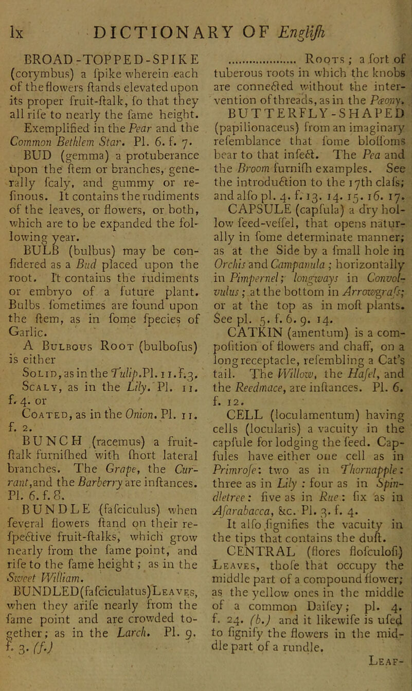 BROAD-TOPPED-SPIKE (covymbus) a I'pike wherein each of the flowers (lands elevated upon its proper fruit-flalk, fo that they all rife to nearly the fame height. Exemplified in the Pear and the Common Betklem Star. PI. 6. f. 7. BUD (gemma) a protuberance upon the ftem or branches, gene- rally fcaly, and gummy or re- finous. It contains the rudiments of the leaves, or flowers, or both, which are to he expanded the fol- lowing year. BULB (bulbus) may be con- fidered as a Bud placed upon the root. It contains the rudiments or embryo of a future plant. Bulbs. fometimes are found upon the flem, as in forne fpecies of Garlic. A Bulbous Root (bulbofus) is either SoLiD,asintheTw/i/).Pl. i i.Fi3, Scaly, as in the Lily. V\. ii. f. 4. or Coated, as in tire Omon. PI. ii. f. 2. BUNCH (racemus) a fruit- flalk furniflred with fhort lateral branches. The Grape, the Cur- rant,3.nd the Barberry are inflances. PL 6. f. 8. BUNDLE (fafciculus) when feveral flowers (land on their re- fpeftive fruit-flalks,’ which grow nearly from the fame point, and rife to the farne height; as in the Sweet William. BUNDLED(fafciculatus)LEAVEs, when they afife nearly from the fame point and are crowded to- gether; as in the Larch. PI. o. ?. 3- (f-J ■ ■ Roots; a fort of tuberous roots in which the knobs are connefled without the inter- vention of threads, as in the Paony. BUTTERFLY-SHAPED (papilionaceus) from an imaginary refemblance that fome blolfoms bear to that infe6l. The Pea and the Broom furnifh examples. See the introdu6lion to the 17th clafs; and alfo pi. 4. f. 13. 14. 15.16. 17. CAPSULE (capfula) a dry hol- low feed-veffel, that opens natur- ally in fome determinate manner; as at the Side by a fmall hole in Orchis and Campanula ; horizontally in Pimpernel;' longimys in Convol- vulus ; at the bottom in Arrowgrafs; or at the top as in mofl plants. See pi. 5. f. 6. 9. 14. CATKIN (amentum) is a com- pofition of flowers and chaff, on a long receptacle, refembling a Cat’s tail. The Willozv, the Hajel, and the Reedmace, are inftances. PI. 6. f. 12. CELL (loculamentum) having cells (locularis) a vacuity in the capfule for lodging the feed. Cap- fules have either one cell as in Primroje: two as in 7'hornapple: three as in Lily : four as in Spin- dletree: five as in Rue: fix as in Ajarabacca, &amp;tc. PI. 3. f. 4. It alfo.fignifies the vacuity in the tips that contains the dun. CENTRAL ((lores flofculofi) •Leaves, thofe that occupy the middle part of a compound flower; as the yellow ones in the middle of a common Dailey; pi. 4. f. 24. fb.J and it likewife is ufe^ to fignify the flowers in the mid- dle part of a rundle. Leaf-