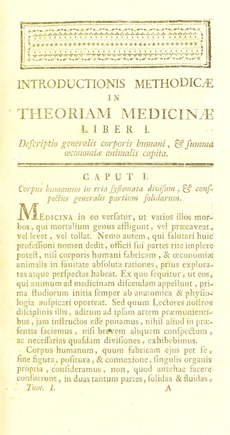 tI. j.:-..: :■ ■■ &gt;&gt;&gt;&gt;.»&gt;’•» ^ gr VV^Lvv^vT Y V‘'*2c'*Ir''i'vtrV‘'lr'fcl*'k»'‘'V •‘-•,- X T - r -1 » * ^ » * 9 J INTRODUCTIONIS METHODICA I N * THEORIAM MEDICINAE L I B E R I. Deferiptio generalis corporis humani, £5? fwnma oeconomice animalis capita. CAPUT 1. Corpus humanum in tria fyjlemata divifum , &amp; conf- pe&amp;us generalis partium [olidarum. lyr 1Vj.Edicina in eo verfatur, ut varios illos mor- bos, qui mortalium genus affligunt, vel praecaveat, vel levet, vel tollat. Nemo autem , qui falutari huic profeffioni nomen dedit, officii fui partes rite implere poteft, nili corporis humani fabricam , &amp; oeconomiae animalis in famtate abfoluta rationes, prius explora- tas atque perfpectas habeat. Ex quo fequitur* ut eos, qui animum ad medicinam diicendam appellunt, pri- ma (ludiorum initia Temper ab anatomica &amp; phylio- logia aufpicari oporteat. Sed quum Lectores noltros difciplmis illis, aditum ad ipfam artem praemunienti- bus , jam inftrudos ede ponamus, nihil aliud in prac- fentia faciemus, nili brevem aliquem conipcctum , ac neceflarias quafdam diviliones, exhibebimus. Corpus humanum, quum fabricam ejus per fe, fine figura, politura, &amp; connexione, lingulis organis propria , conlideramus , non, quod antehac facere confuerunt, in duas tantum partes, (olidas &amp; fluidas ,&gt; Tom. L A