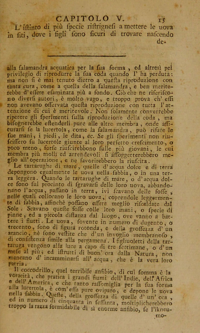 L’iftinto di più fpecie riltrignefi a mettere le uova in Citi, dove i figli fono ficuri di trovare nafcendo de* alla falamandra acquatica per la Tua forma , ed altresì pei privilegio di riprodurre la fua coda quando 1’ ha perduta: ma non fi è mai tenuto dietro a quella riproduzione con tanta cura, come a quella della falamandra, e ben merite- rebbe d’ettere efaminata più a fondo. Cièche ne riferifco- no diverfi autori, è molto vago, e troppo prova eh’ elfi non avevano oflervata quella riproduzione con tutta l’at- tenzione di cui è meritevole. Non fidamente converrebbe ripetere gli fperimenti fulla riproduzione della coda , ma bifognerebbe attenderli pure alle altre membra , onde affi- enarli fe la lucertola, come la falamandra, può rifare le fue mani* i piedi, le dita, ec. Se gli fperimenti'non riu- fcilfero fu lucertole giunte al loro perfetto creficimento, o poco meno , forfè riufeirebbono fulle più giovani, le cui membra più molli ed arrendevoli fi afloggetterebbero me- glio all’operazione, e ne favorirebbero la riufeita. Le tartarughe di mare, quelle d’acqua dolce e di terra depongono egualmente le uova nella labbia, o in una ter- ra leggera. Quando le tartarughe di mare, o d’acqua dol- ce fono fui procinto di fgravarfi delle loro uova, abbando- nano l’acqua, pattano in terra, ivi /cavano delle fotte , nelle quali collocano le loro uova, coprendole leggermen- te di fabbia, affinchè pottano ettère meglio rifeaìdate dal Sole. Scavano quelle fotte colle loro mani, o fpecie di pinne , ed a piccola diftanza dal luogo, ove vanno a bat- tere i flutti. Le uova , fovente in numero di dugento, o trecento, fono di figura rotonda, c della grettezza d’ un arancio, nè fono vettite che d’un invoglio membranofo , di confidenza Amile alla pergamena . I figliuoletti della tar- taruga vengono alla luce a capo di tre fettimane, o d’un &gt;nefe al piu ; ed iftrutti di buon’ ora dalla Natura, non mancano d incamminarli all’ acqua , che è la vera loro patria. voliC-?'C°du 110’ quel terriWe anfibio, di cui fornma è la l°J£pV pratICV Srandi fiumi dell’Indie, delf Africa Tlla Inrp *TeiriCV e C^e ,ranto rafiòmiglia per la fua forma Siila Vv Cam e n pLire riparo, e depone le uova della gtottezza di’ quelle d’ un’ oca , trotino la r CI-*n Ottanta, moltiplicherebbero troppo la razza formidabile di sì enorme anfibio, fe l’ikneu- mo-