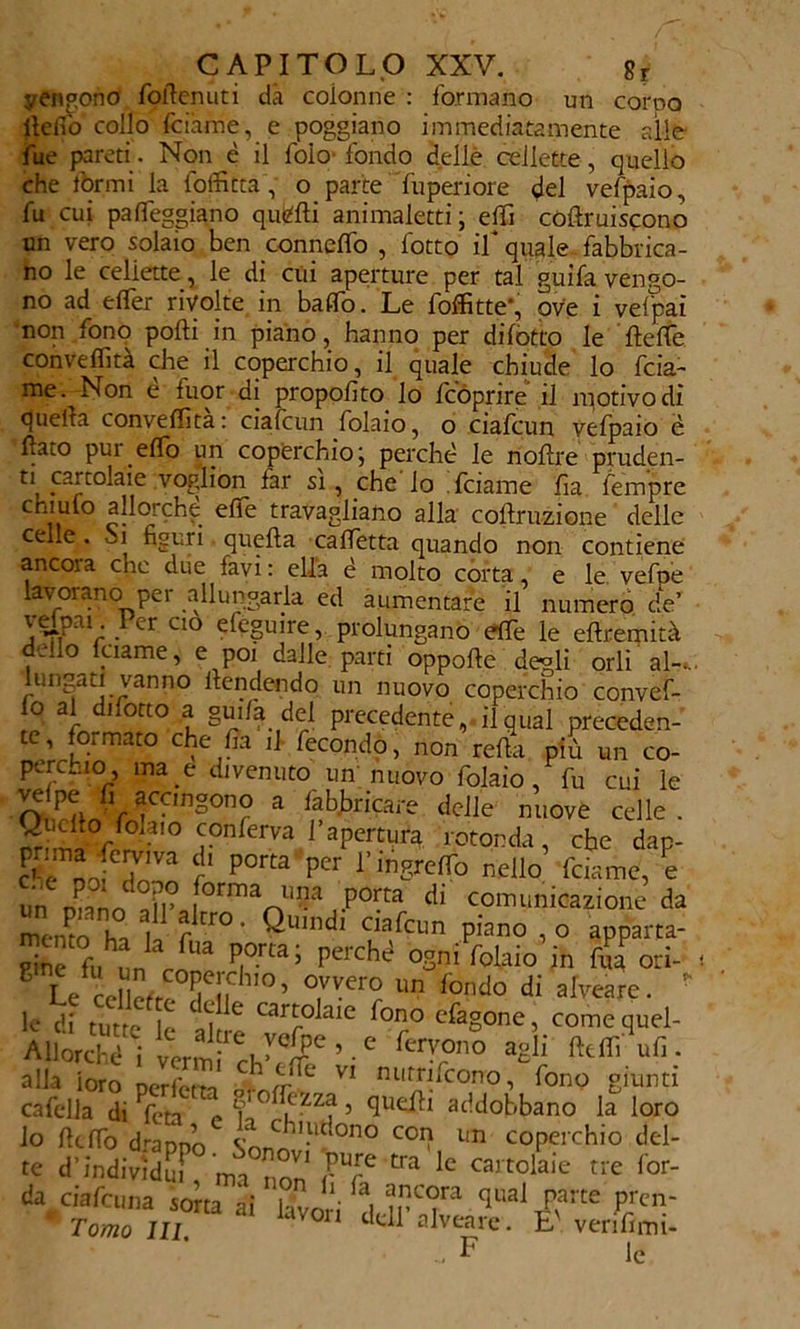 vengono foftenuti dà colonne : formano un corno ilelfo collo fciàrne, e poggiano immediatamente alle fue pareti . Non è il foio' fondo delle cellette, quello che fòrmi la foffitta, o parte fuperiore del vefpaio, fu cui pa(feggiano qufefti animaletti; effi coftruiscono un vero solaio ben conneffo , lotto if quale fabbrica- no le celiette, le di cui aperture per tal guifa vengo- no ad e (Ter rivolte in baffo. Le foffitte*, ove i vefpai non fono polli in piano, hanno per dilotto le fteffe conveffita che il coperchio, il quale chiude lo fcia- me. Non è fuor di propolìto. lo (coprire' il ìpotivodi quella conveffita: ciafcun folaio, o ciafcun vefpaio è (lato pur effe un coperchio; perché le nollre pruden- cartolale voglion far si, che lo fciame Ila fempre chiufo allorché elle travagliano alla collruzione delle celle. Si figuri quella calfetta quando non contiene ancora che due favi: ella é molto corta, e le vefpe lavorano per allungarla ed aumentare il numero de’ velpai Per ciò efeguire, prolungano effe le eftrecpità , 1° l.tiame> e poi dalle parti oppolle degli orli al-., lungati vanno deridendo un nuovo coperchio convef- fo al difetto a gui/a del precedente, il qual preceden- te, formato che to il fecondo, non retta più un co- perchio ma e divenuto un nuovo folaio , fu cui le O winV fang°nr a fabbricare ^eile nuove celle . pTYÌ c^10 còJfferva ! apertura rotonda, che dap- d èJ 7nZ f P°rta per Vm^o nello fciame, e un nnnn \ir iorma uPa P°Ita eli comunicazione da Zn o Z lì c rr° • Qlmidl Qafcun .Pbano , o apparta- tine fu nn r Ua Pi°rta’ Percbd 0Sn> folaio in fua ori- t U celici SC1.l ”0 ’ °,VVer? Un fondo di a^are.  le df tUtre e 11 C Carr°JaiC f°n0 efa§one> come quel- Mlorché i verrn^ ffPC ’ •  aglf alla ioro perfetta cVI niItJ-lCOno ’ bon<l SIuntl cafclla di Pfc*n V f °^zza , quelli addobbano la loro lo (lefio drappo w'l,dono C0P un coperchio del- te d’indivfduf, ma non fiT ^ k cart(?laie tre lor' da^ eia felina sorta ai lavori de irT qualPfrte Prr™‘ Tomo III 0ri a^veare* È veri fi mt- - F le