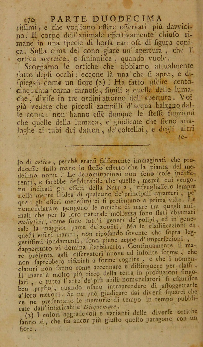 biffimi, e che vogliono edere offcrvati più davvici- no. Il corpo dell’animale effettivamente chiufo ri- mane in una fpecie di borfa carnofa di figura coni- ca . Sulla cima del cono giace un apertura , che 1’ ortica accrefce, o fminuifce , quando vuole. Scorriamo le ortiche che abbiamo attualmente lotto degli occhi : eccone là una che fi apre, e di- fpiegafi come un fiore (2) . Ha fatto ufcire cento- cinquanta corna carnofe, fimili a quelle deile luma- che, divife in tre ordini attorno dell1 apertura. Voi già vedete che piccoli zampilli d’acqua balzalo dal- le corna : non hanno effe dunque le fteffc funzioni che quelle della lumaca, e'giudicate che fieno ana- loghe ai tubi dei datteri, de’coltellai, e degli altri 10 dì ortica , perchè eranfi falfamente immaginati che pro- ducete fu Ila mano lo fleffo effetto che la pianta del me- defimo nome . Le denominazioni non fono cofe indiffe- renti e farebbe defiderabile che quelle , mercè cui vengo- no indicati gli efferi dèlia Natura , rifvegliatfero tempre nella mente l’idea di^ qualcuno de’principali caratteri , pe quali ali efferi medefimi ci fi prefentano a prima viltà. Le nomenclature pongono le ortiche di mare tra quegli ani- mali che per là loro naturale mollezza fono fiati chiamati molitifchi, come fono tutt’i generi de’ polipi, ed in gene- rale la maggior parte de’zoofiti. Ma le clafiìfLaziom di quefti etferi marini, non rìpofando fovente che fopra leg- aerifiìmi fondamenti, fono piene zeppe d’imperfezioni , dappertutto vi domina l’arbitrario. Continuamente il ma- re nrefenta agli offervatori nuove ed infolite ferme , che non farebbero riferirfi a forme cognite , e che 1 nomen- clatori non fanno come accennare e difiinguere per clafii . 11 mare è molto più ricco della terra in produzioni fingo- lari e tutta l’arte‘de’più abili nomenclatori fi efaunlce ben ’ pretto , quando ofano intraprendere di afloggcttarle a’loro metodi. Se ne può giudicare dai diverfi fquai ciche ce ne prefentano le memorie di tempo in tempo pubb.i- cate dall* infaticabile Dicquernare. . (i) I colori aggradevoli e varianti delle diverte ortiche fanno si, che fia ancor più giufto quello paragone con un fiore.