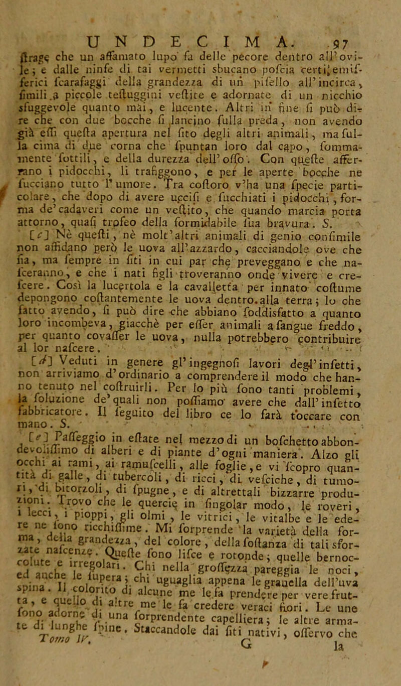 tirale che un affamato lupo' fa delle pecore dentro all’ovi- le ; e dalle ninfe di taì vermetti sbucano pofeia certi|emif* ferici fcarafaggi della grandezza di ini pifello all’ incirca , limili .3 piccole teiluggini veflite e adornate di un nicchio sfuggevole quanto mai, e lucente. Altri in fine fi può dir re cne con due bocche fi .lancino fulla preda , non avendo già efifi quella apertura nel fito degli altri animali, ma ful- la cima di d.ue corna che fpuntan loro dal capo, fomma- mente lottili, e della durezza dell’offo'. Con quelle affer- rano i pidocchi, li trafiggono, e per le aperte bocche ne fucciano tutto Tumore. Tra colloro v’ha una fpecje parti- colare, che dopo di avere uccifi e fucchiati i pidocchi, for- ma de’cadaveri come un veflito, che quando marcia porta attorno, quali trofeo della formidabile bua bravura. S. CO Nè quelli, nè molt’altri animali di genio confimile non affidano però le uova all’azzardo, cacciandole ove che fia, ma fempre in liti, in cui par che preveggano e che na- sceranno, e che i nati figli troveranno onde vivere e cre- lcere. Così la lucertola e la cavalletta per innato collume depongono collantemente le uova dentro, alla terra ; lo che fatto avendo, fi può dire che abbiano foddisfatto a quanto loro incombeva, Jgiacchè per elfer animali afangue freddo, per quanto covafler le uova, nulla potrebbero contribuire al lor nafeere. - «r- &lt;» .... i [//] Veduti in genere gl’ingegnofi lavori degl’infetti, non arriviamo d’ordinario a comprendere il modo che han- no tenuto nel. coftruirli. Per lo più fono tanti problemi, la joluzione de quali non polììamo' avere che dall’infetto fabbricatoi e. Il leguito del libro ce lo farà toccare con mano. S. &lt; Paffeggio in diate nel mezzodi un bofehettoabbon- devoiifiimo di alberi e di piante d’ogni maniera. Alzo gli occhi ai rami, ai ramufcelli, alle foglie, e vi '{'copro quan- tl.t ,&gt; 5?1 tubercoli, di ricci,'di. vefciche , di tumo- ri, di bitorzoli, di fpugne , e di altrettali bizzarre produ- zioni. I rovo che le querciq in fingolarmodo, le roveri, 1 lecci, 1 pioppi, gli olmi , le vitrici, le vitalbe e le ede- ” neVl?,no tlcchifnme . Mi l'orprende la varietà della for- ma , della grandezza, del colore , della foflanza di tali sfor- f0n0 Iifce e «tonde* quelle b rnoc- S if rThu- Chi nella groffirzza pareggia le noci, !pinaQCn Iolo,3r*™j-Chi‘ uBu»glia, aPPena le gradella dell’uva ra ertifiin i UO, ^ a cune me le.fa prendere per vere frut- fono adorni&lt; ? a!tre,me le fa «edere veraci fiori. Le une j: 3 [0rPren^ente capelliera; le altre arma- Totrf ir •'*nc ’ Staccandole dai lìti nativi, olTervo che * G la