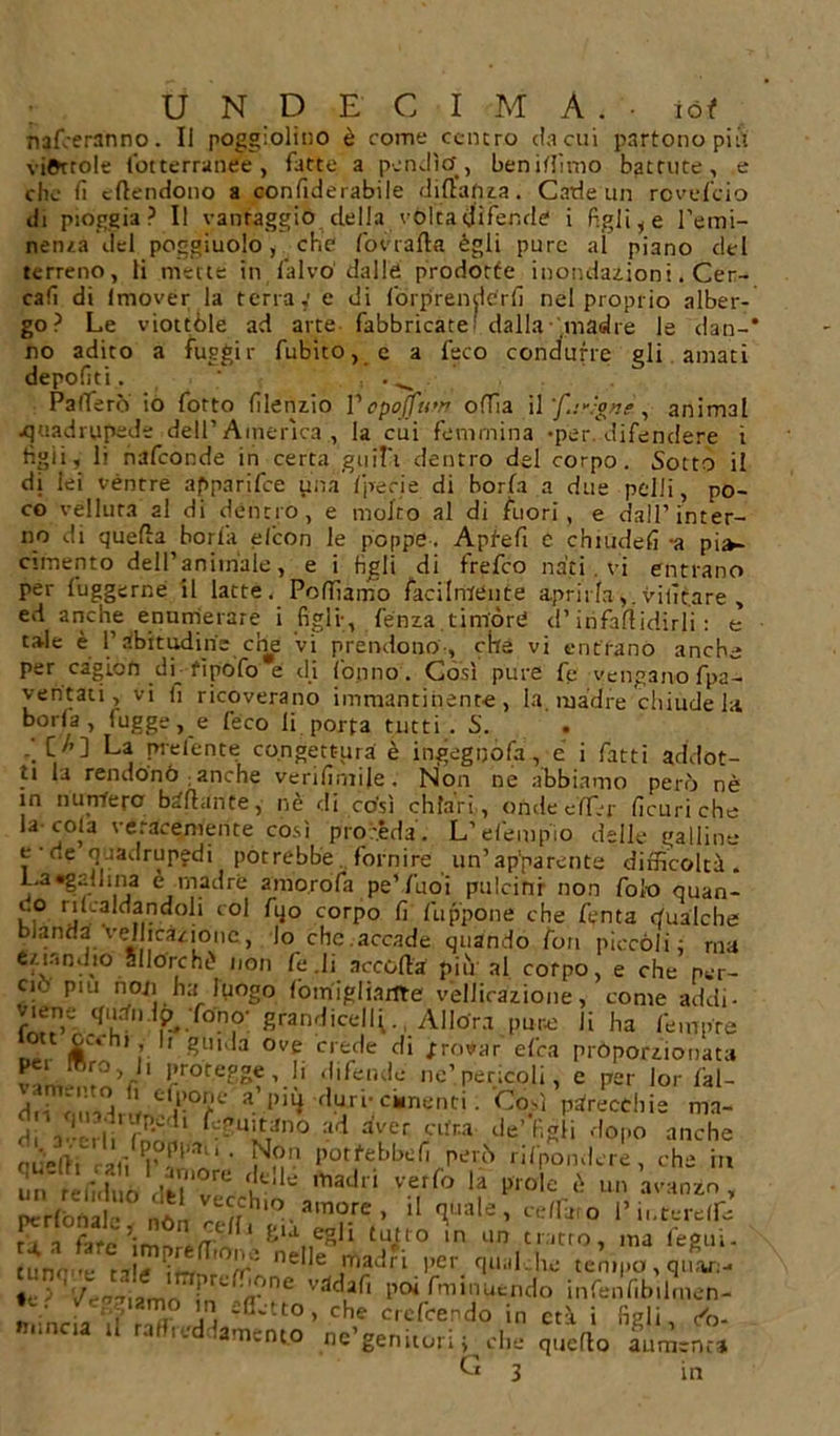 U N D E C I M A . • Ìòt narreranno. Il poggiolino è come centro da cui partono piti viottole fotterranee, fatte a pendìo, beniffimo battute, e che fi eilendono a confidarabile diftafiza. Cade un revefeio di piòggia? Il vantaggio della vòlta difende i figlile l’emi- nenza del poggiuolo, che fovralla égli pure al piano del terreno, li mette in l'alvo dalle prodotte inondazioni. Cer- cali di lmover la terra,' e di forprenderfi nel proprio alber- go? Le viottole ad arte fabbricate dalla madre le dan- no adito a fuggir fubito, e a feto condurre gli amati depofiti. : . ^ Patterò’ io fotto filenzio Vcpoffirn offia il f.:-}gnè, animai quadrupede dell’America , la cui femmina -per. difendere i tigli,' li nafeonde in certa guil'i dentro del corpo. Sotto il di lei vèntre a f&gt;pn ri fee una f peri e di boria a due pelli, po- co velluta al di déntro, e molto al di fuori, e dall’inter- no di quella boria elcon le poppe. Apfefi C chiudefi -a pia- cimento dell’animale, e i tìgli di frefeo nati . vi entrano per iuggerne il latte. Polliamo facilmente aprirlaviiìt.are , ed anche enumerare i figli-, lènza timóre d’infaflidirli : e cale è l’abitudine che vi prendono-, ette vi entrano anche per cagLÒn di fìpòfo e di Conno . Così pure fé vengano fpa- ventati, vi fi ricoverano immantinente, la. madre chiude la boria, (ugge, e Ceco li porta tutti. S. .fi’] La prefente congettura è ingegnofa, e i fatti addot- ti la rendono anche verifimile. Non ne abbiamo però nè in numero ballante, nè di còsi chiari, onde eifer ficuri che la cola veracemente così proceda. L’efempio delle galline i rie ?1Jac r “P?dt potrebbe. fornire un’ apparente difficoltà . L.a•gaiIma è madre amorofa pe’/uoi pulcini non Colo quan- i.o ribaldandoli col fqo corpo fi fuppone che fenta qualche blanda vdicàzioue, lo che.accade quando fon piccoli; ma eziandio allorché non fedi accolla più al corpo, e che per- ciò pm non ha luogo foinigliarite vellicazione, come addi- , , . . _ O . n‘*****tw vuiiufliiuiic , CUUJC aneli* ^qmtndp-lonp- grandicelli. . Allóra pur-e li ha femore r (Si 1 ? ' ^ld3 °ve crede di /rowar elea proporzionata v!n 1 i;rote?Se’.!i difende ne’pericoli, e per lor l'al- do Ìn-H 1 j-°?e a 1’*^ duri- cimenti. Così parecchie mn- diV-'5i Sf ‘ - LV*110 :,d aVer '■''t™ de'tìgli dopo anche oudlfrafi^Pp!Vau ' N®'.1 potrebbe fi però rifpondere, che in mirèfiduò Ìe!k madli verfo la prole è un’avanzo. Pedonale noi r!ffCh‘° - a,T1?.rC &gt; 11 T,aIe &gt; «ffii-0 l’interefiTe tua fate’imnia-f/ tutto in un tratto, ma fegui. (Un„ ... .,ié • ’ 1^' nede madri per^ qual, he tempo, qu.v;-* «e ; '/v-7-riamr ',r&lt;’ mne po* Sminuendo infenfibilmen- ♦ Reggiamo ,n effetto, che crefeerdo in età i figli /o- mincia il raffreddamento ne’genitori ; che quello aumenta