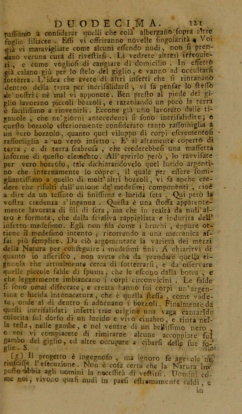 tuffiamo 3 confiderar quelli che colà albergalo fopra altre foglie liliacee . Elfi vi offriranno novelle fingolarità» \ oi eiì vi maravigliate come alcuni elfendo nudi, non fi pren- dano veruna cura di ri^eftirfi . Li vedrete altresì irrequie- ti , c come vogliofi di cangiare di domicilio . In enettó già calano giù per lo Itelo del giglio, e vanno ad occultarli fottèrra. L’idea che avete di altri infetti che li rintanano dentro della terra per incrifalidarfi , vi fa penfar lo fteflb de’noftrii nè mal vi apponete. Ben predo al piede del gì- glio lavorano piccoli bozzoli, e razzolando un poco la terra è faeilifrimo a rinvenirli. Eccone già ufto lavorato dalle ti- gnuole , che ne’giorni antecedenti fi fono ihcrifalidìte ; e quello bozzolo efteriormente confiderato tanto rafTòriiigUa à un vero bozzolo, quanto quel viluppo di corpi efcrementofi xaffomiglia a -un vero infetto . E' sì altamente coperto di terra , e di terra fcabrofa , che crederebbefi una maffetta informe di quello elemé’nto. All’aprirlo però , lo ràvvifate per vero bozzolo, tale dichiarandovelo quel lucido argenti- no che internamente lo copre , il quale per elfere forni-* gliantilfimo a quello di molt’ altri bozzoli, vi fa anche cre- dere che rifulti dall’ unione de’ medefirnj componènti , cioè a dire da un telfuto di finilfima e lucidi feta . Qui però la vedrà credenza s’inganna . Quella è una (loffia apparente- mente lavorata di fili di feta, ina che in realtà da nuli’al- tro è formata, che dalla fcialiva rappigliata e indurita dell’ infetto medefimo. Egli non fila come i bruchi , eppure ot- tiene fi medefimo intento , ricorrendo a una meccànica af- fai più femplice. Da ciò argomentate la varietà dei mezzi della Natura per conlfeguirc i medefimi fini. À chiarirvi di quanto io alferifco , non avete che da prendere quella ti- gnuola che attualmente cerca di fotterrarfi, e da olfervare quelle piccole falde di fpunra, che le efeooo dalia bocca , e che leggermente imbiancano i corpi circonvicini . Le falde fi fono ornai difeccate, e creata hanno fui corpi un’argen- tina e lucida intonacatura , che è quella (lelfa , come vede- te, onde al di dentro fi adornano i bozzoli. Finalmente dà quelli incrifalidati infetti trae origine una vaga cantaride colorita fui dorl'o di un lucido e vTvo cinabro/e. tinta nel- la tefia, nelle gambe, e nel ventre di un beililfimo nero , e voi vi compiacete di rimirarne alcune accoppiate fui gambo del giglio, ed altre occupate a cibarfi delle fue fa-’ glie. S. r noi • « Ii„p?getto è inSegnofo , ma ignoro fe agevole nV fl n LiJ efecuzione . Non è colà certa che la Natura im- pello-abbia agli uomini la noceffirà di veflirfi . Uomini cò- me noi, vivono quali nudi in paefi eftr*mamente caldi, e m